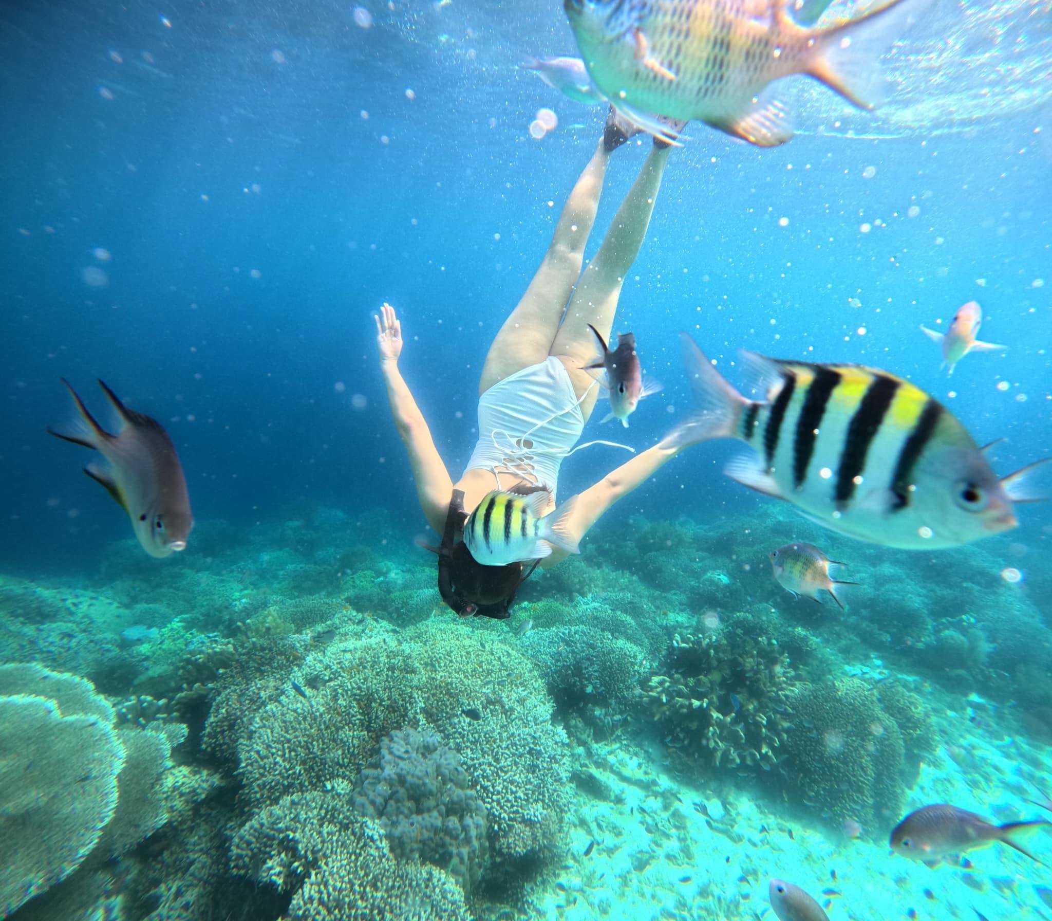 Panglao Island Hopping: Dolphins & Balicasag Snorkeling
