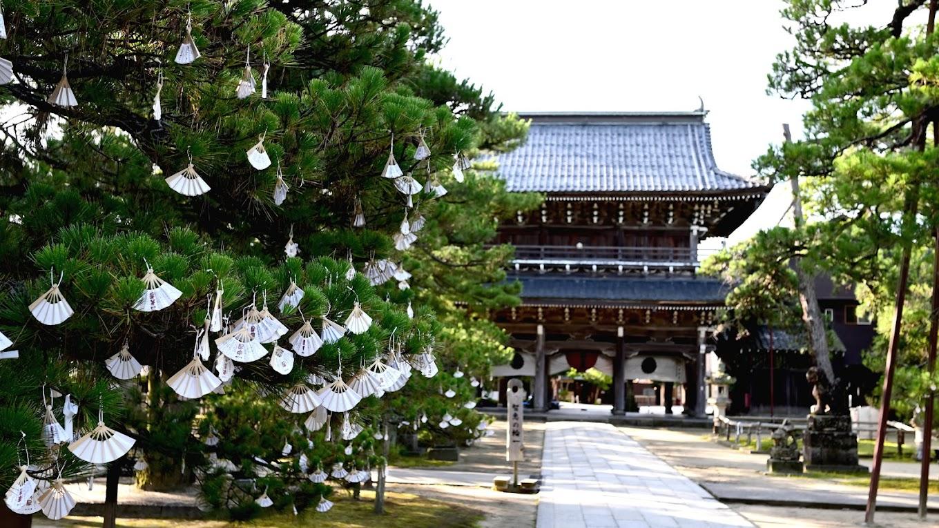 Ine Bay and Amanohashidate Scenic Day Tour from Kyoto or Osaka