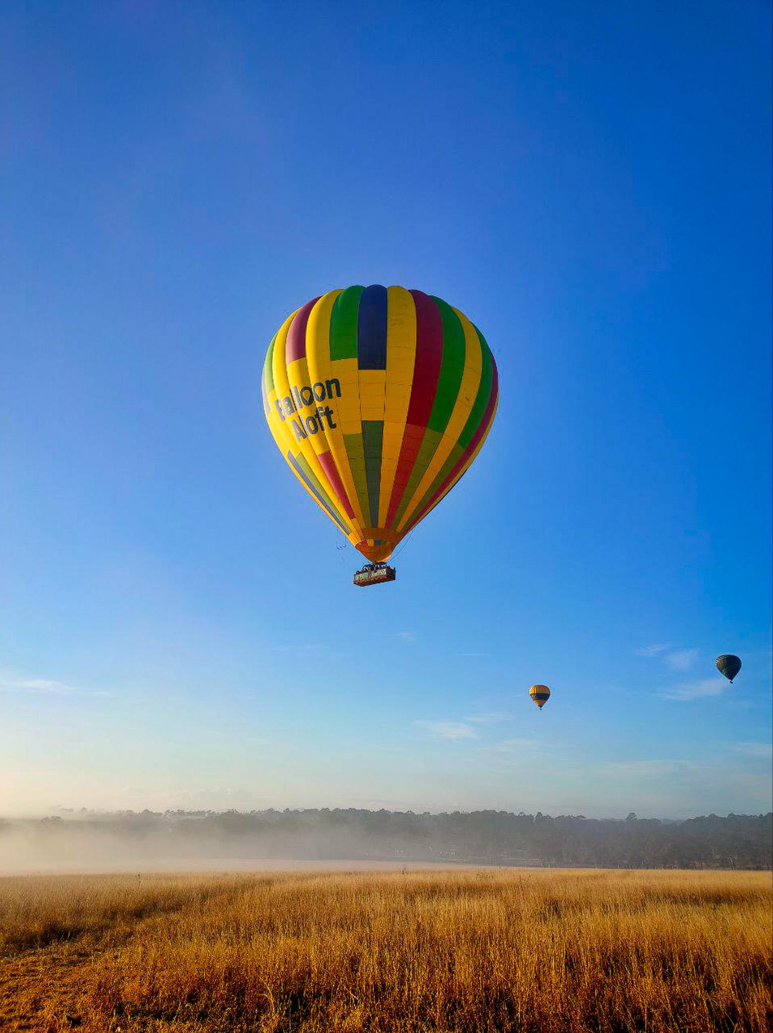 Hunter Valley Sunrise Hot Air Balloon Adventure with Sydney Transfer