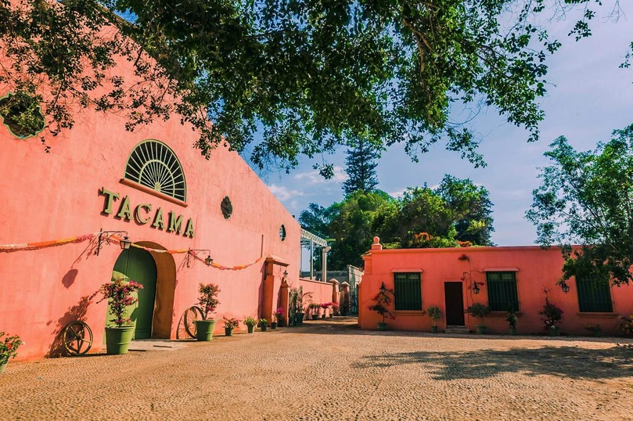 Private Day Trip to Huacachina Oasis & Tacama Winery
