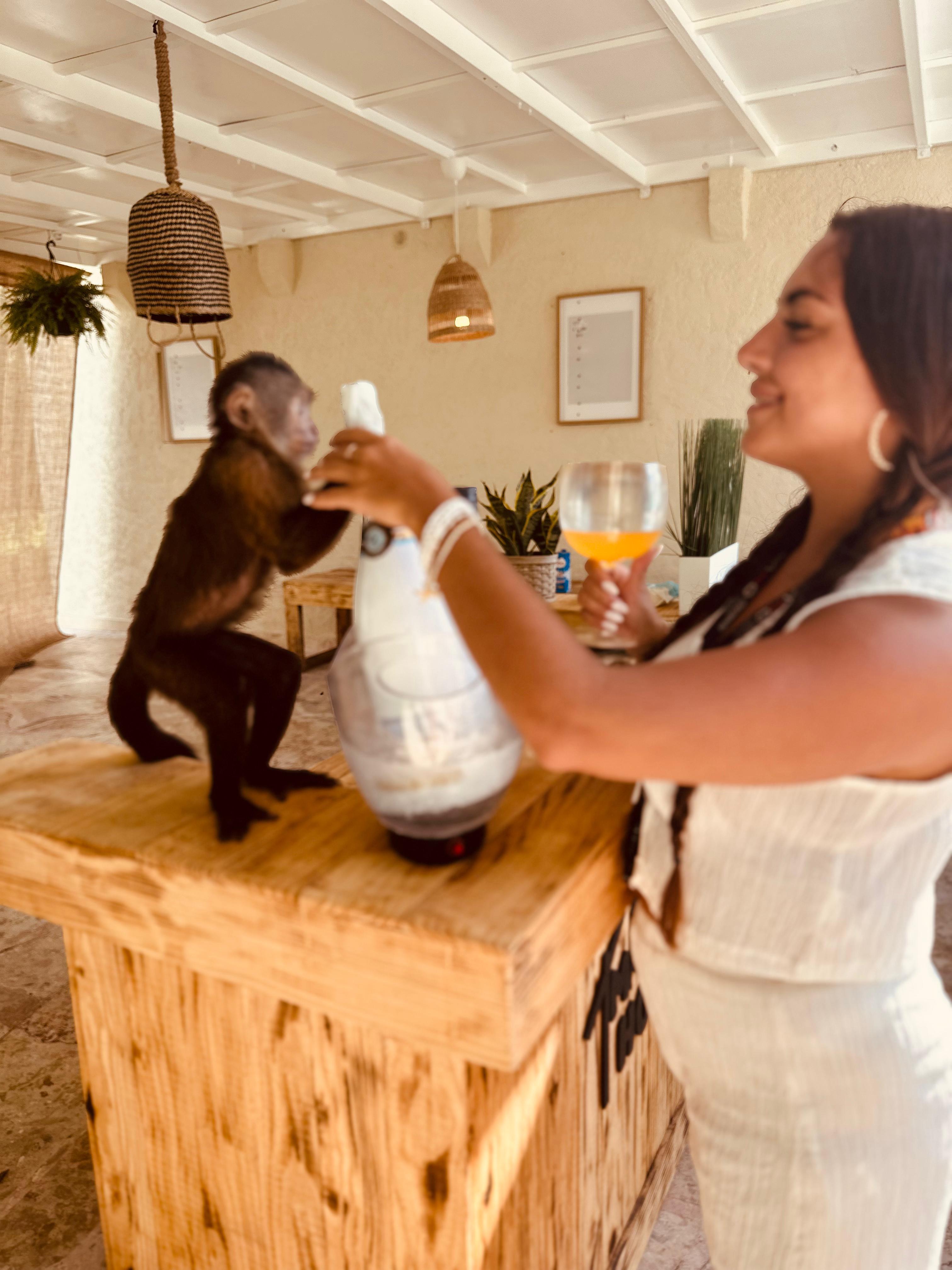 Punta Cana Monkey House: Up-Close Primate Encounter