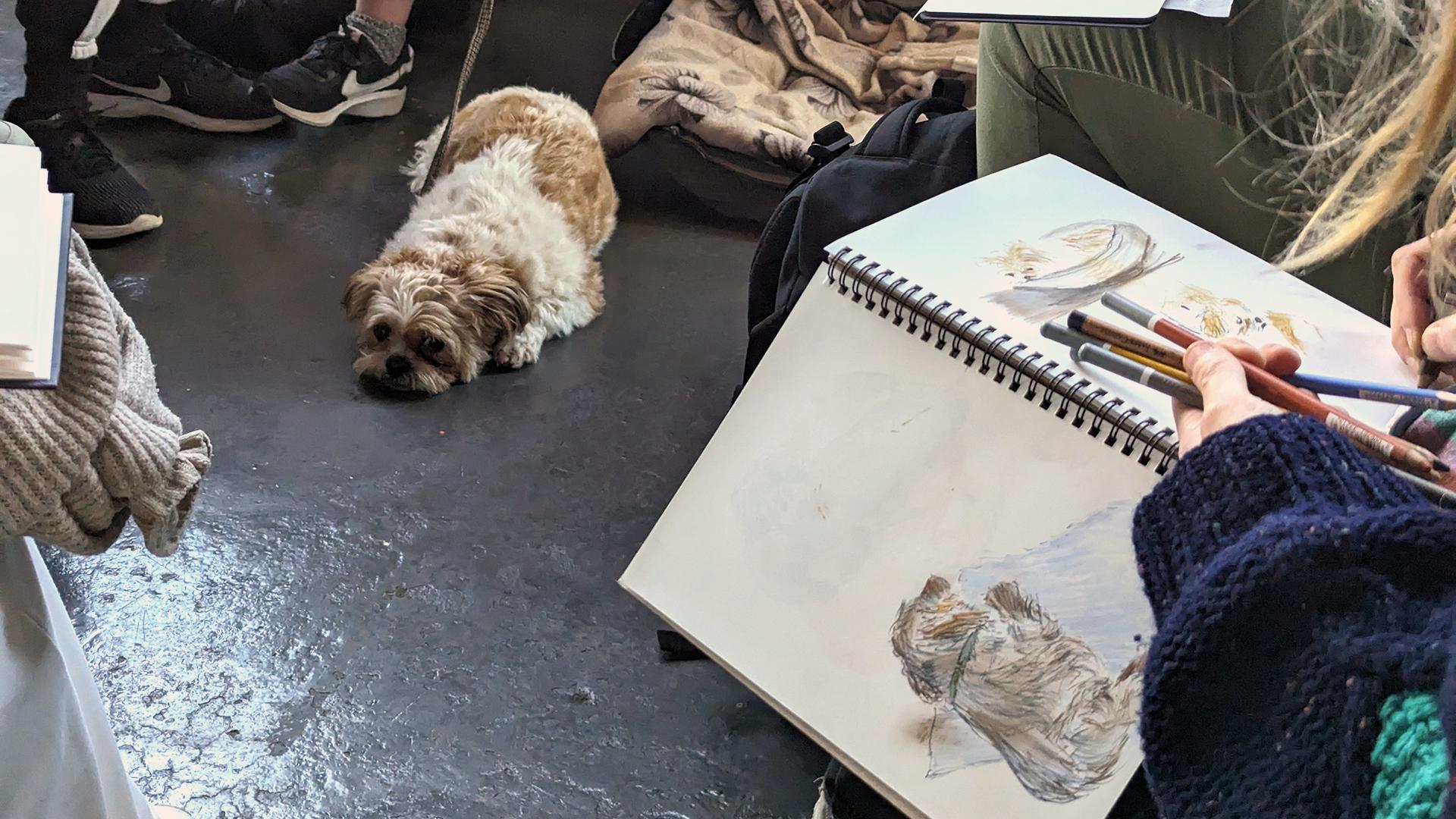Dog Life Drawing with Artist Cai Burton
