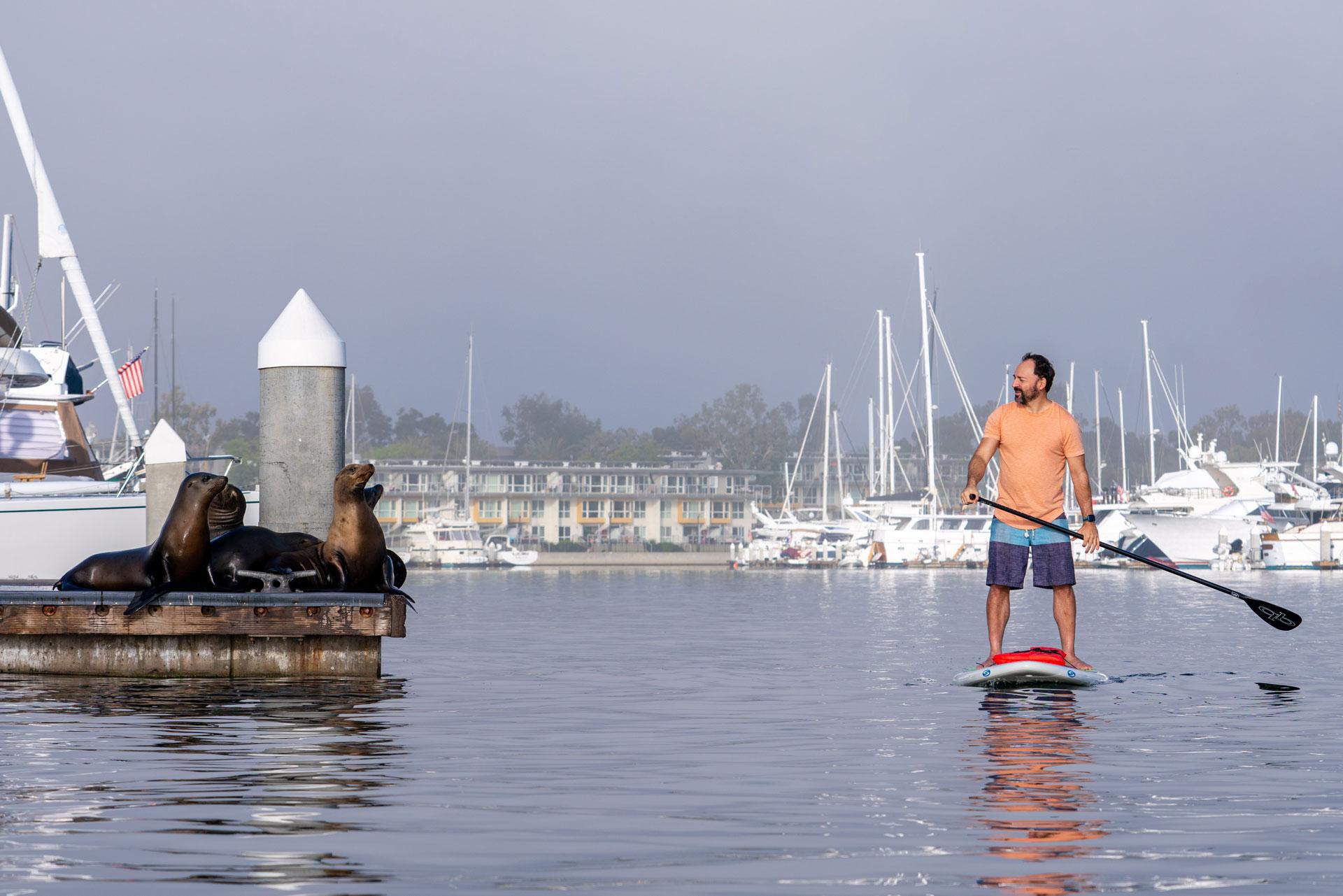 Marina del Rey Kayak & Paddleboard Adventure