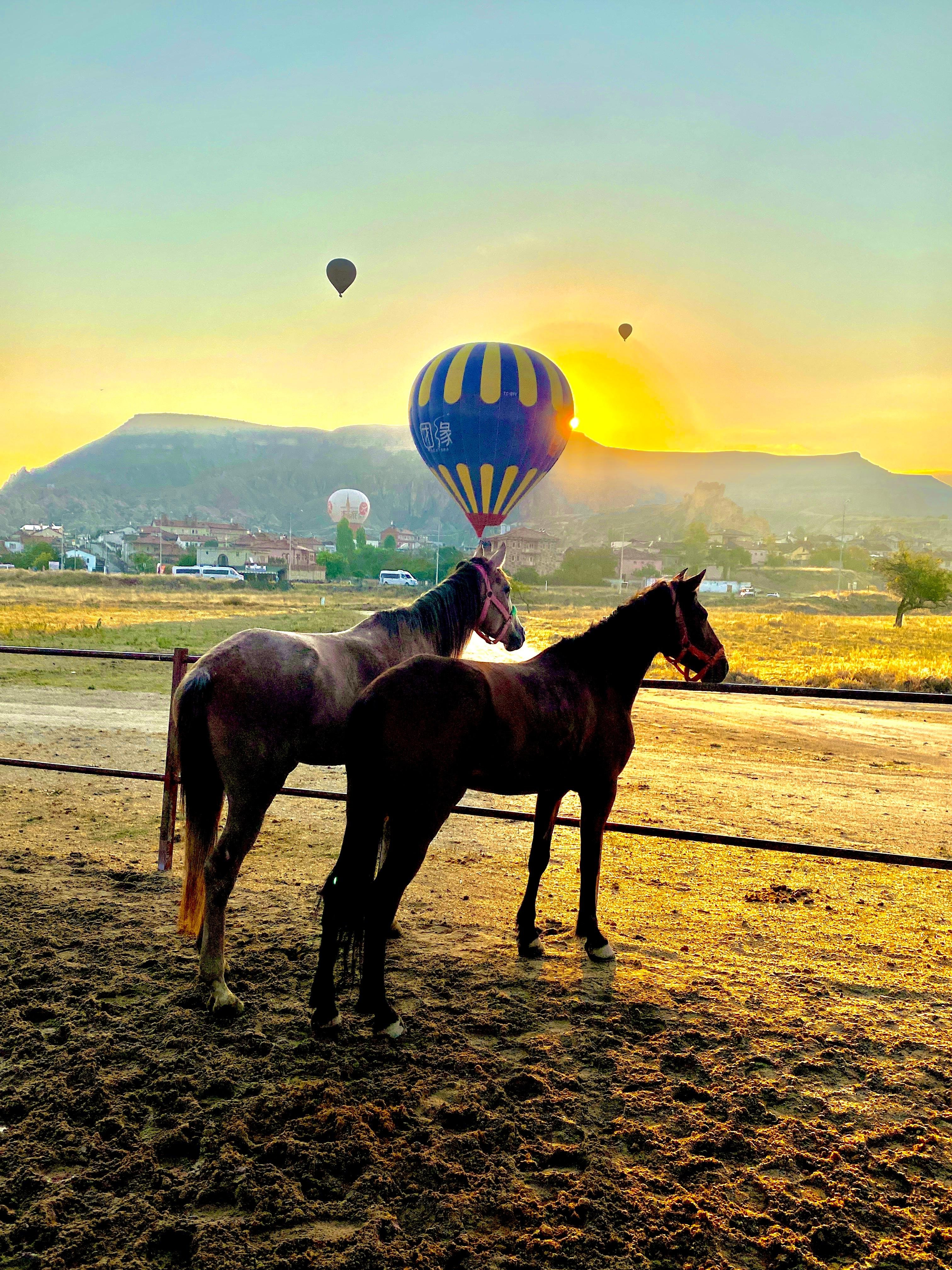Cappadocia Scenic Valley Horseback Riding Tour
