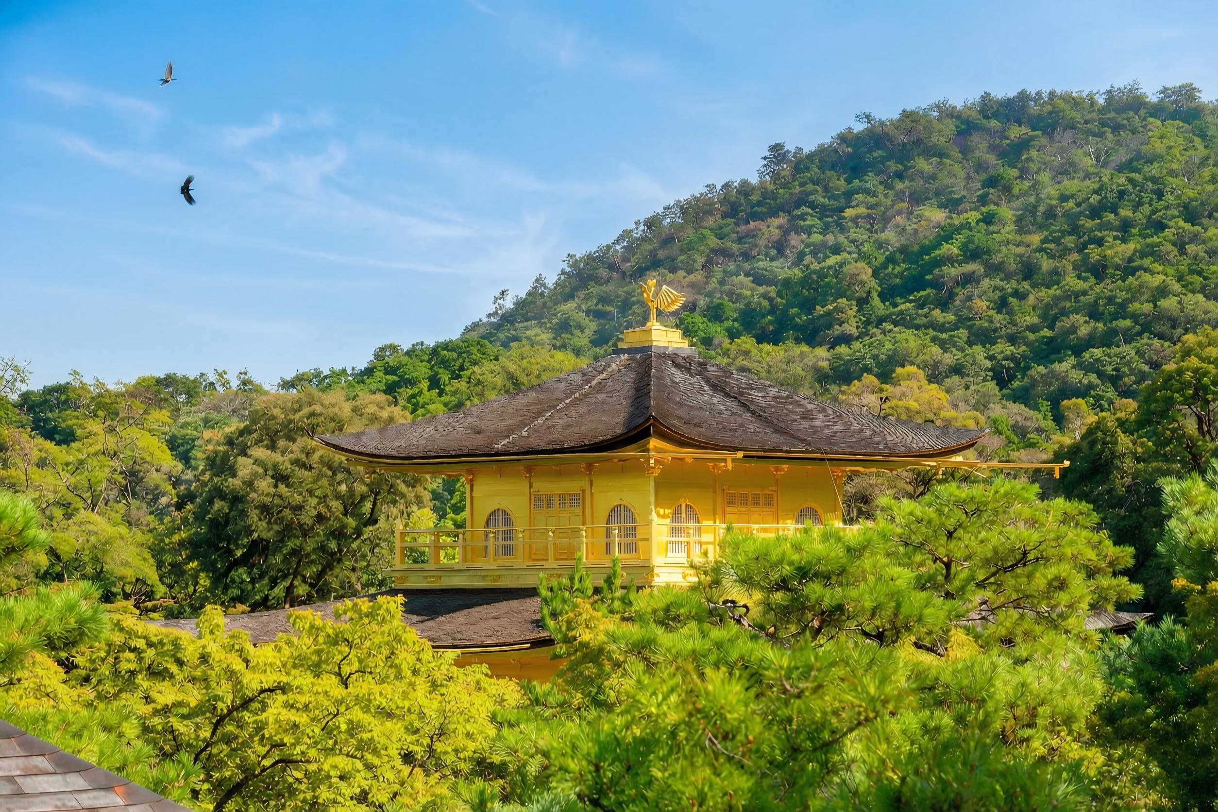 Kyoto & Arashiyama Cultural Explorer Day Trip