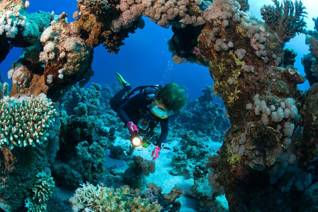 3-Dive Certification Expedition: Phi Phi Islands & Shark Point