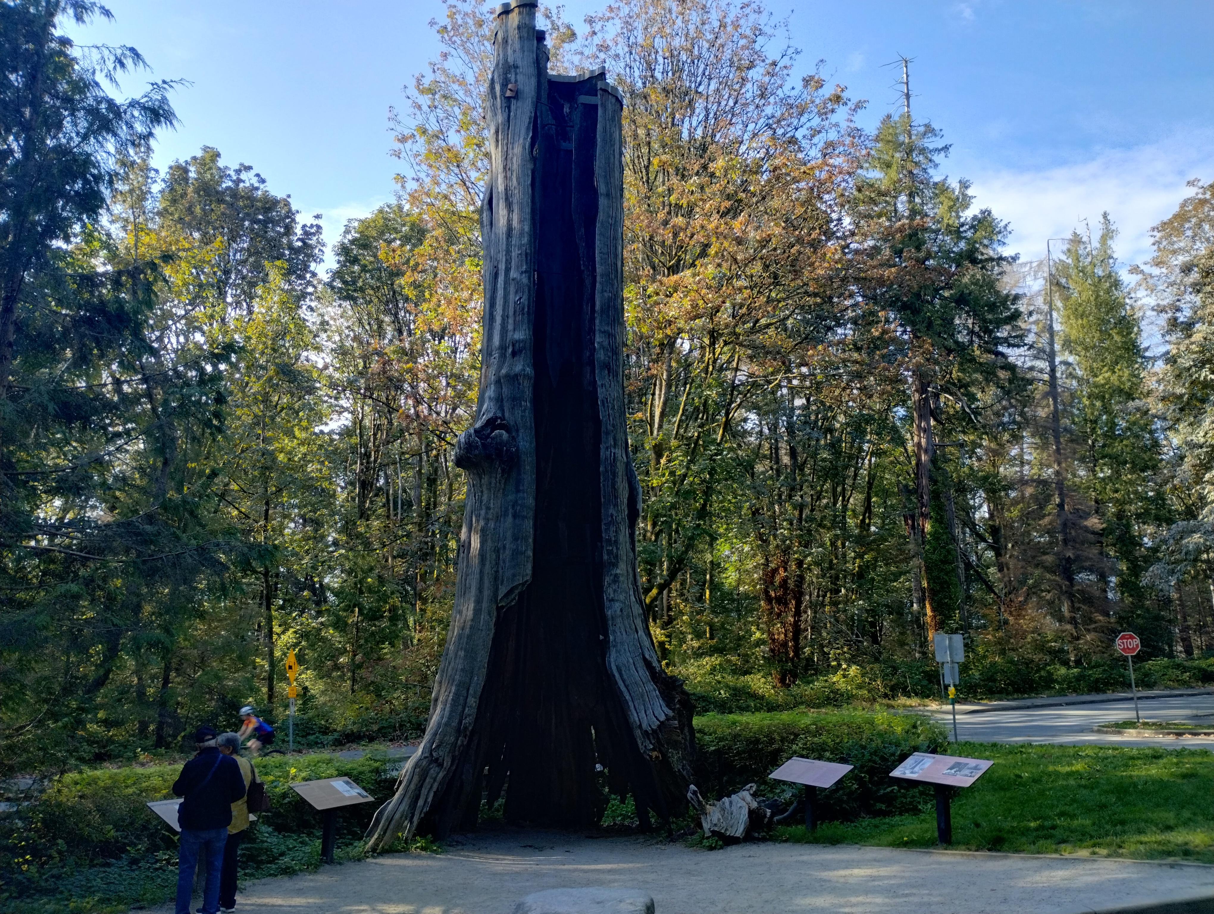 Complete Vancouver Private Small-Group City Tour