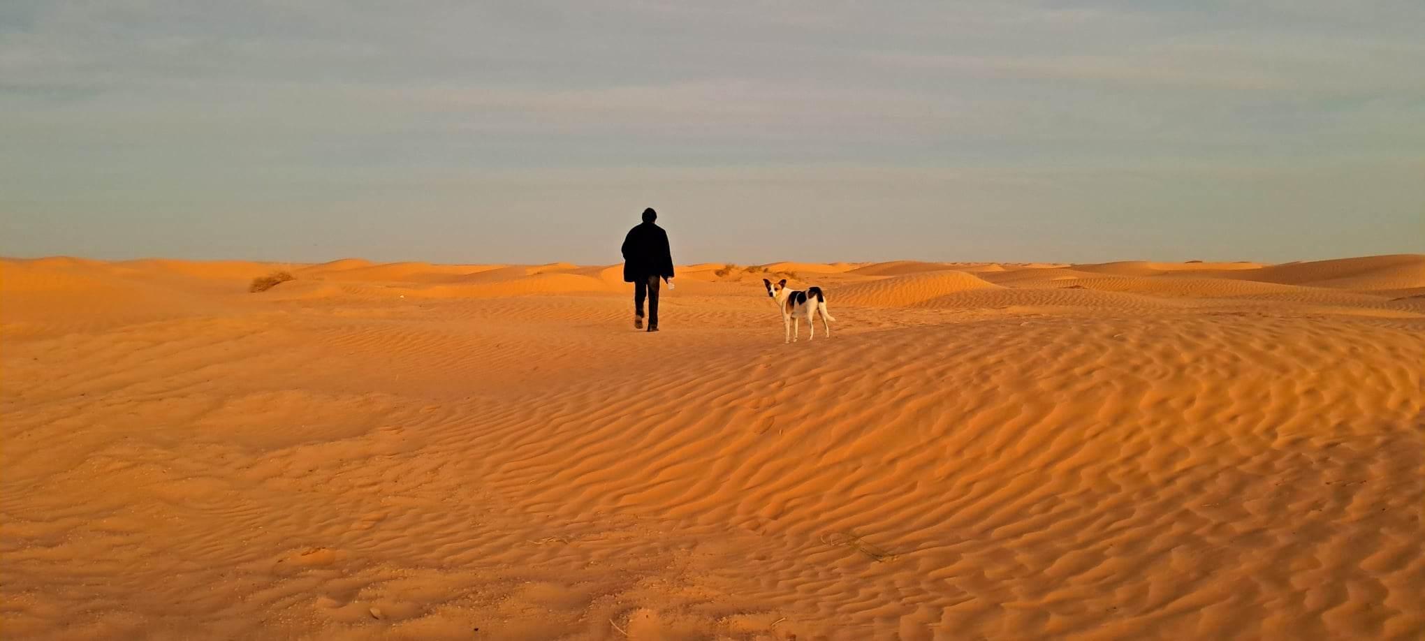 2-Day Tunisia Heritage & Desert Adventure
