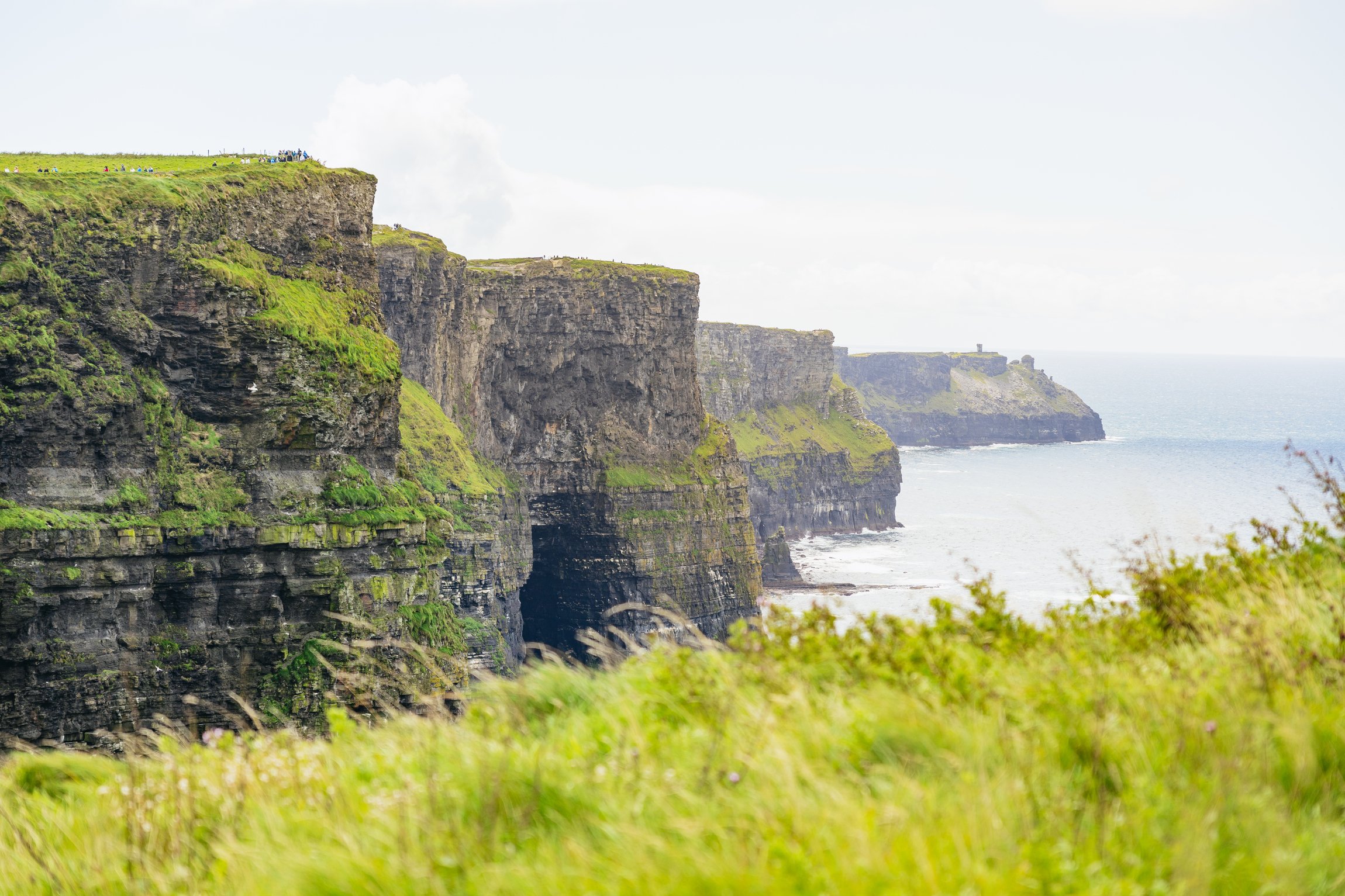 Cliffs of Moher & Burren Full-Day Tour from Galway