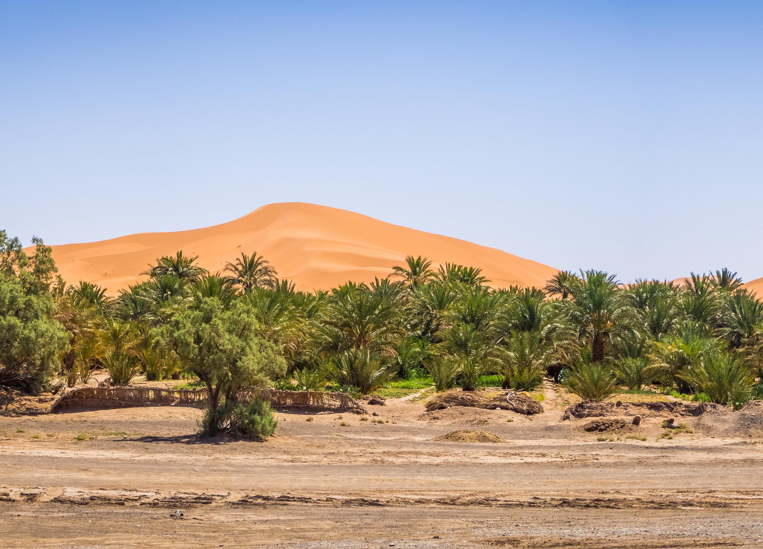 Marrakech to Agadir: 4-Day Private Desert Journey via Merzouga