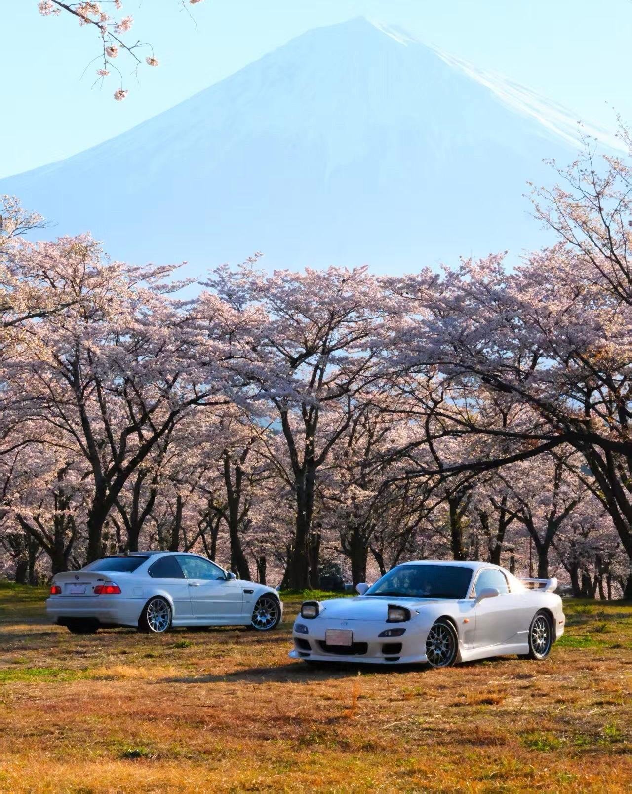 Tokyo Daikoku PA Local Speed Tour Tuned JDM,RX7,GTR,LC500,M5
