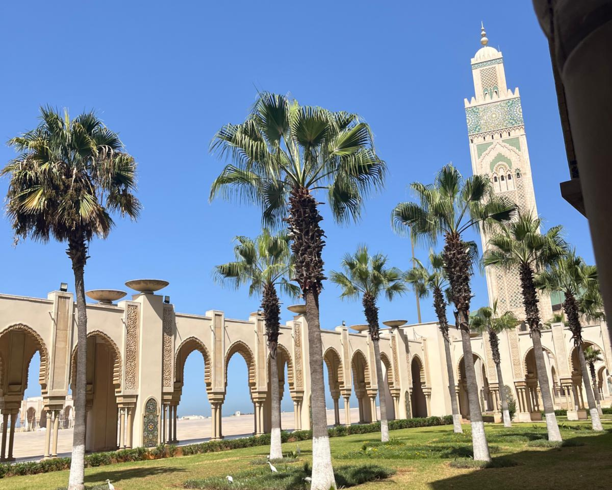 Full-Day Casablanca Cultural Trip from Marrakech