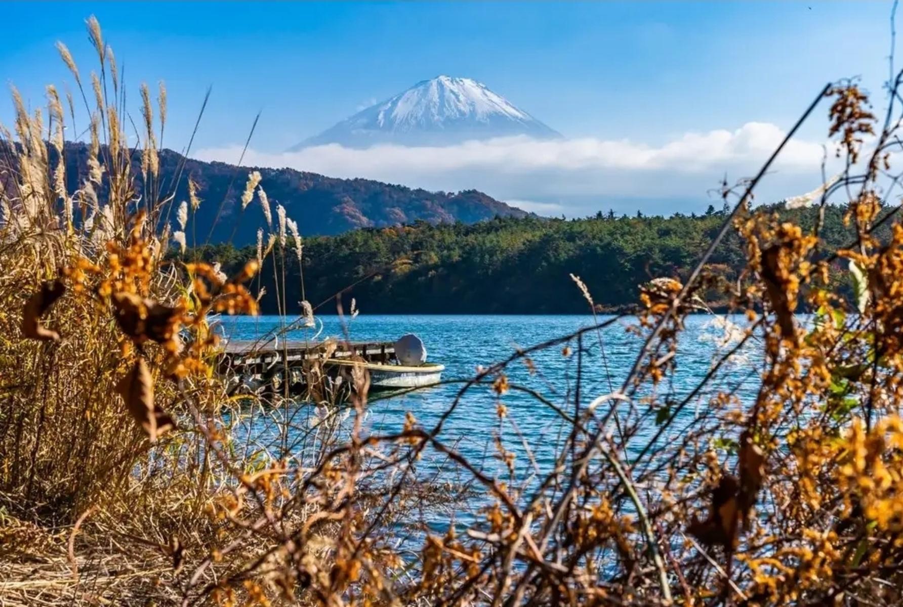 Tokyo to Mt. Fuji & Hakone Private Day Tour