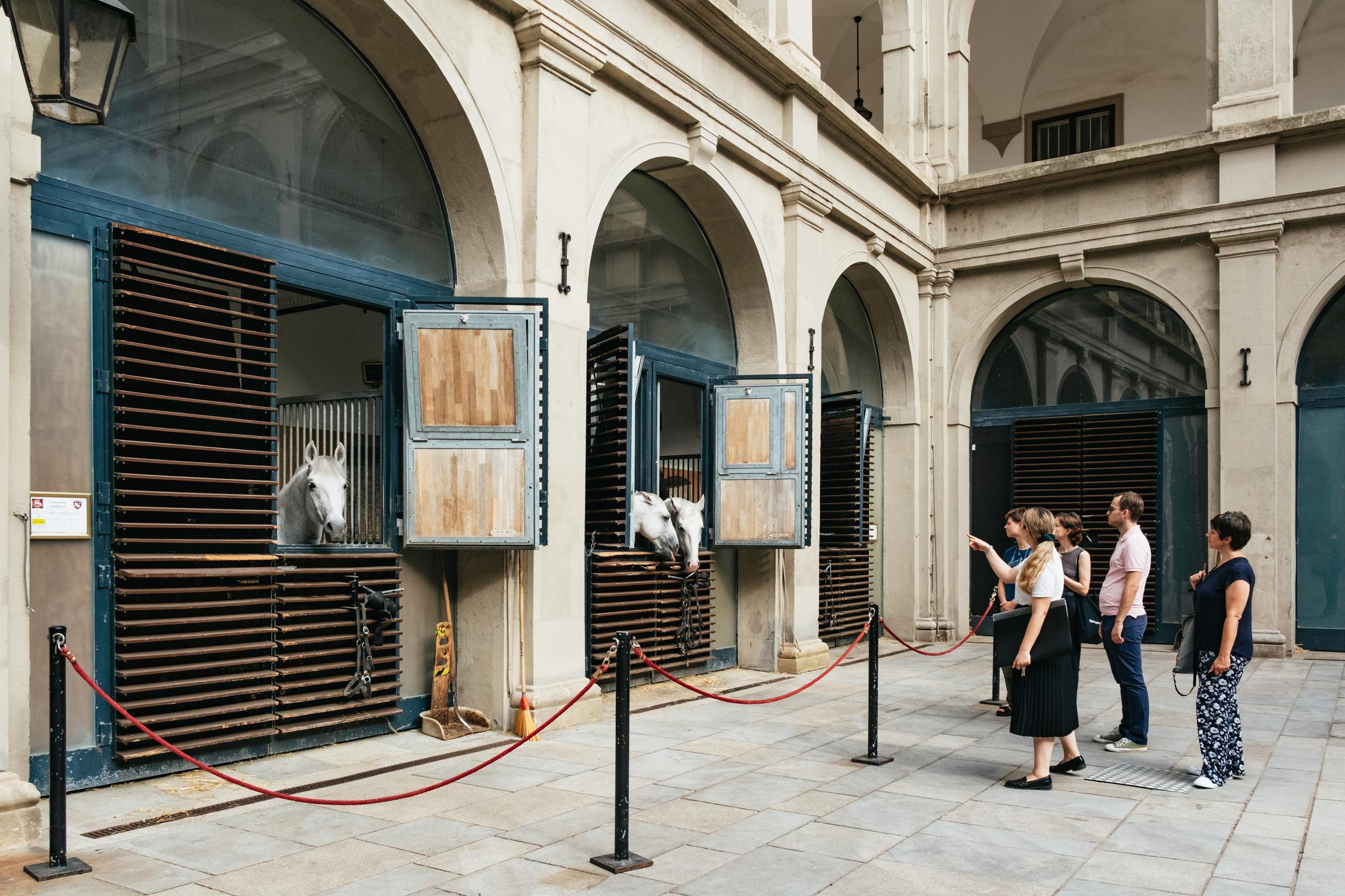 Spanish Riding School Architectural Tour
