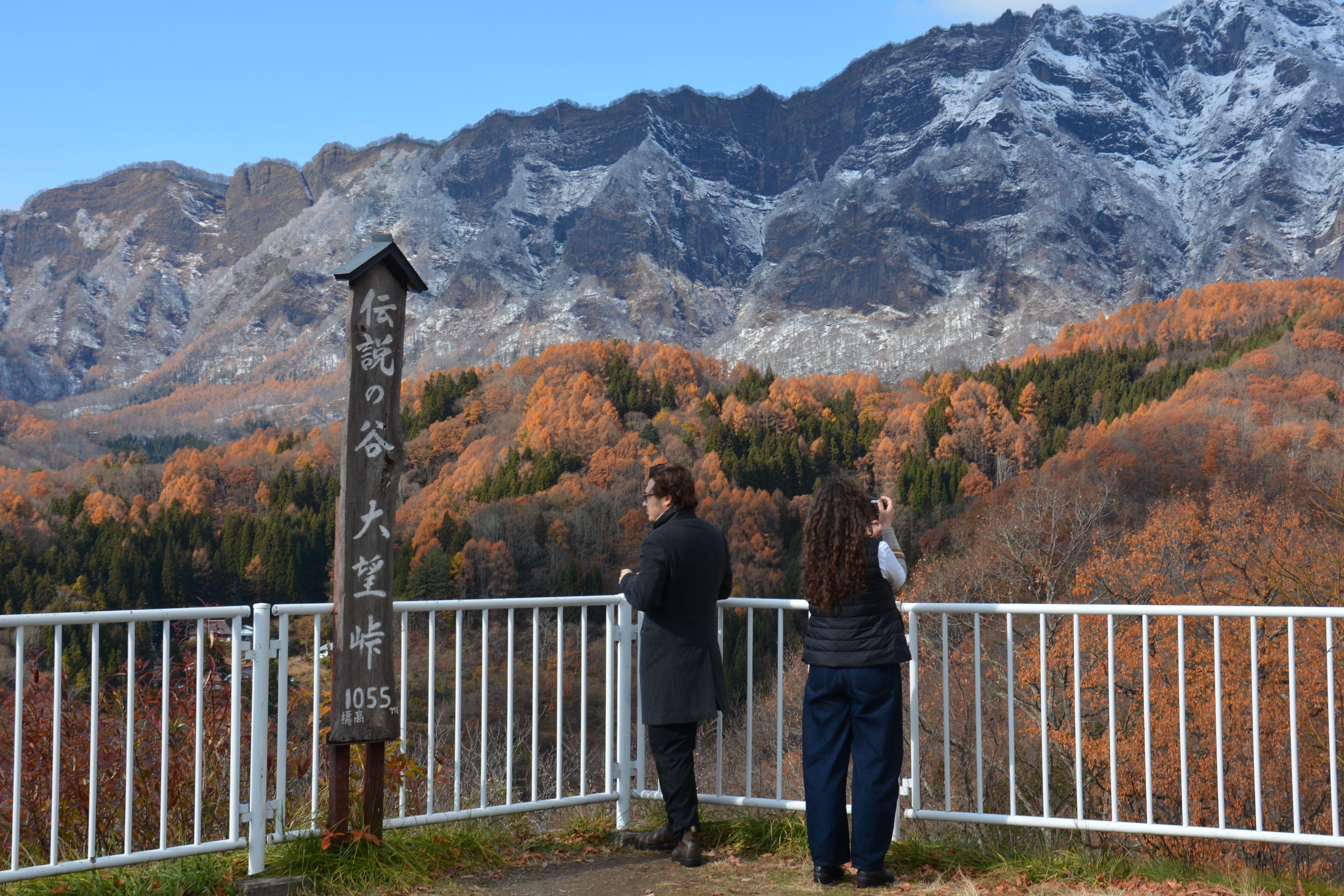 Nagano Private Day Tour: Snow Monkeys & Togakushi Shrine
