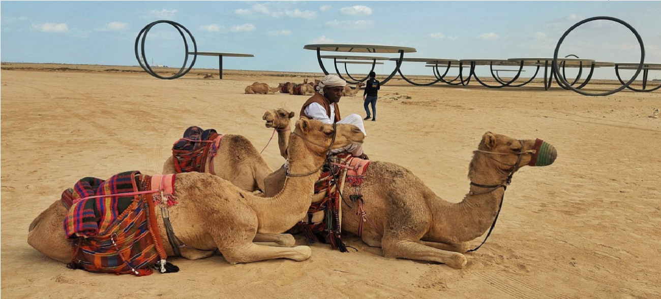 North-West Qatar Heritage & Desert Discovery