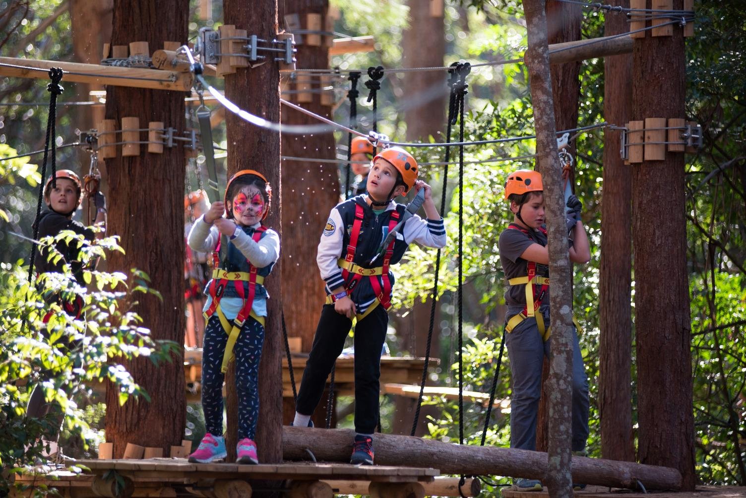 Junior Tree Ropes Course at Treetops Adventure