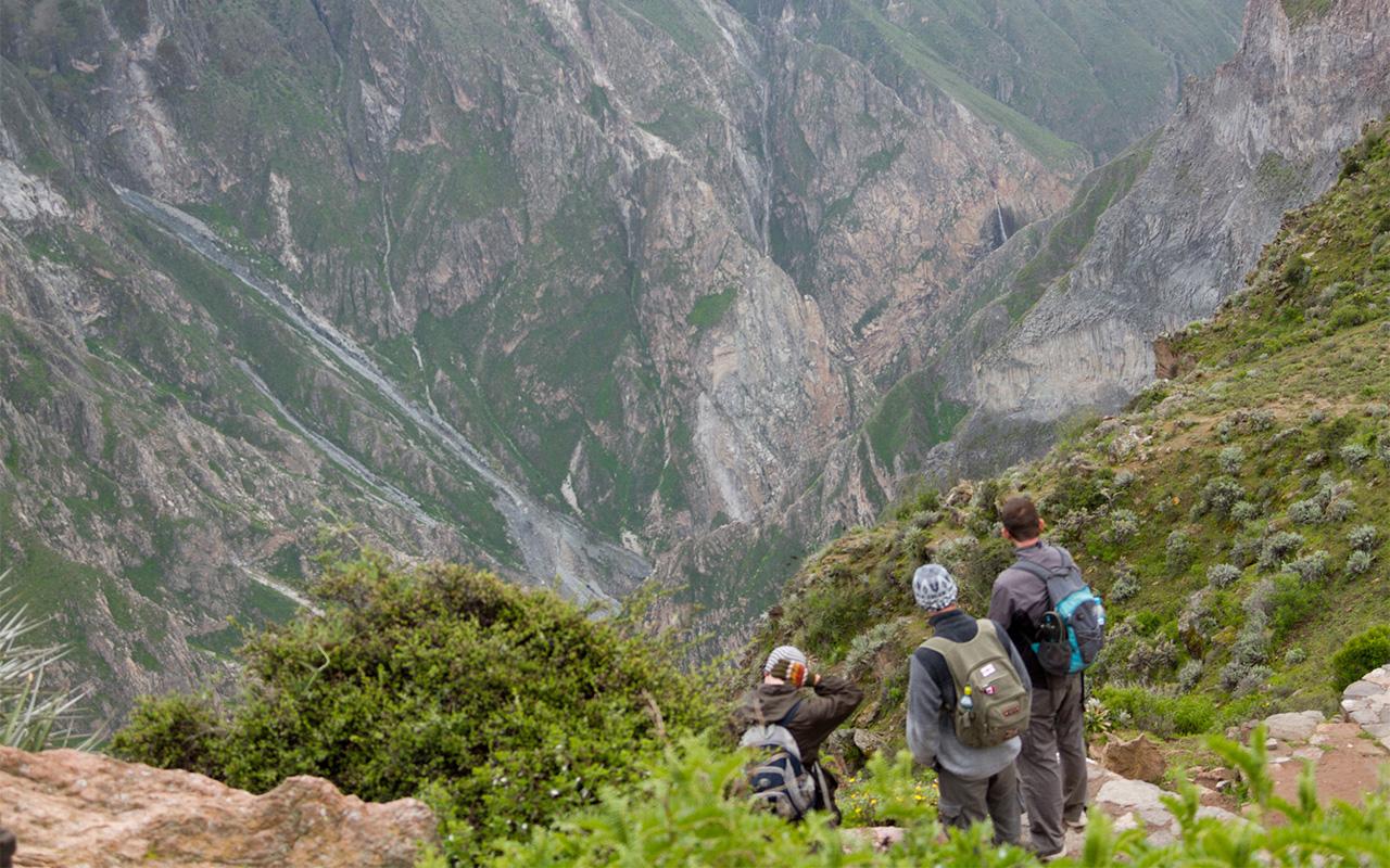 Colca Canyon 2-Day Trek from Arequipa