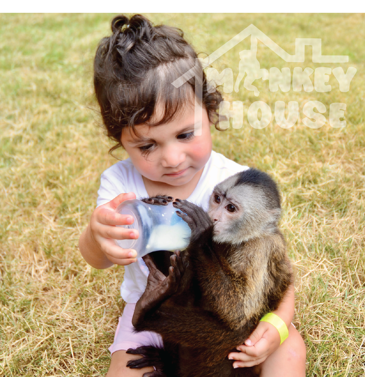 Monkey House VIP – Punta Cana Nature & Wildlife Experience