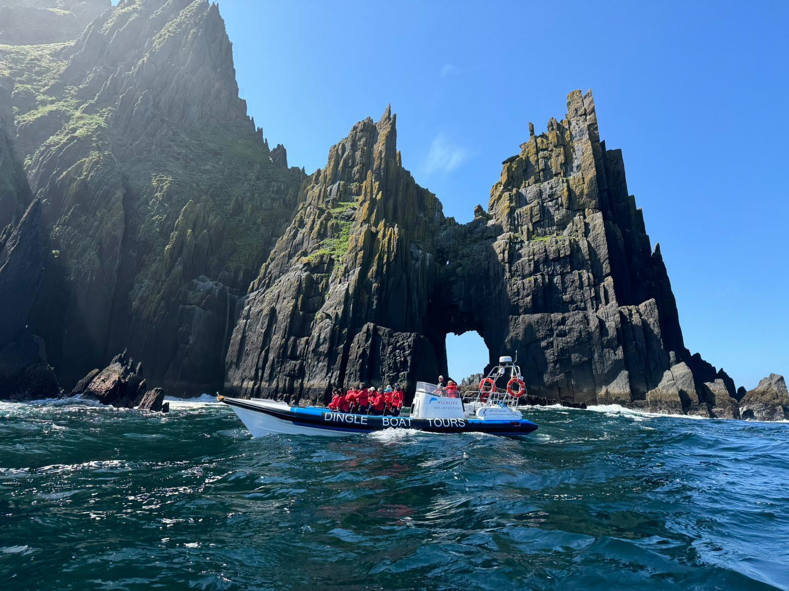 Blasket Islands Wildlife Speedboat Adventure