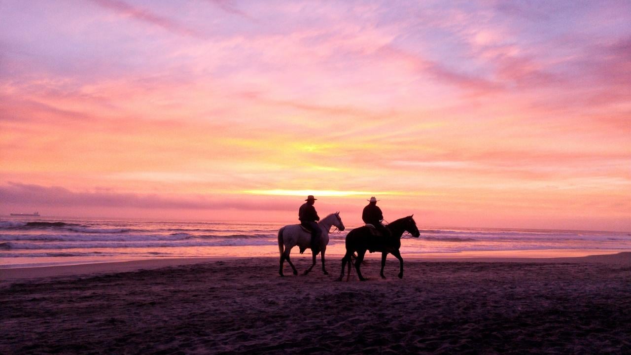 Sunset Horseback Ride with Beach Campfire