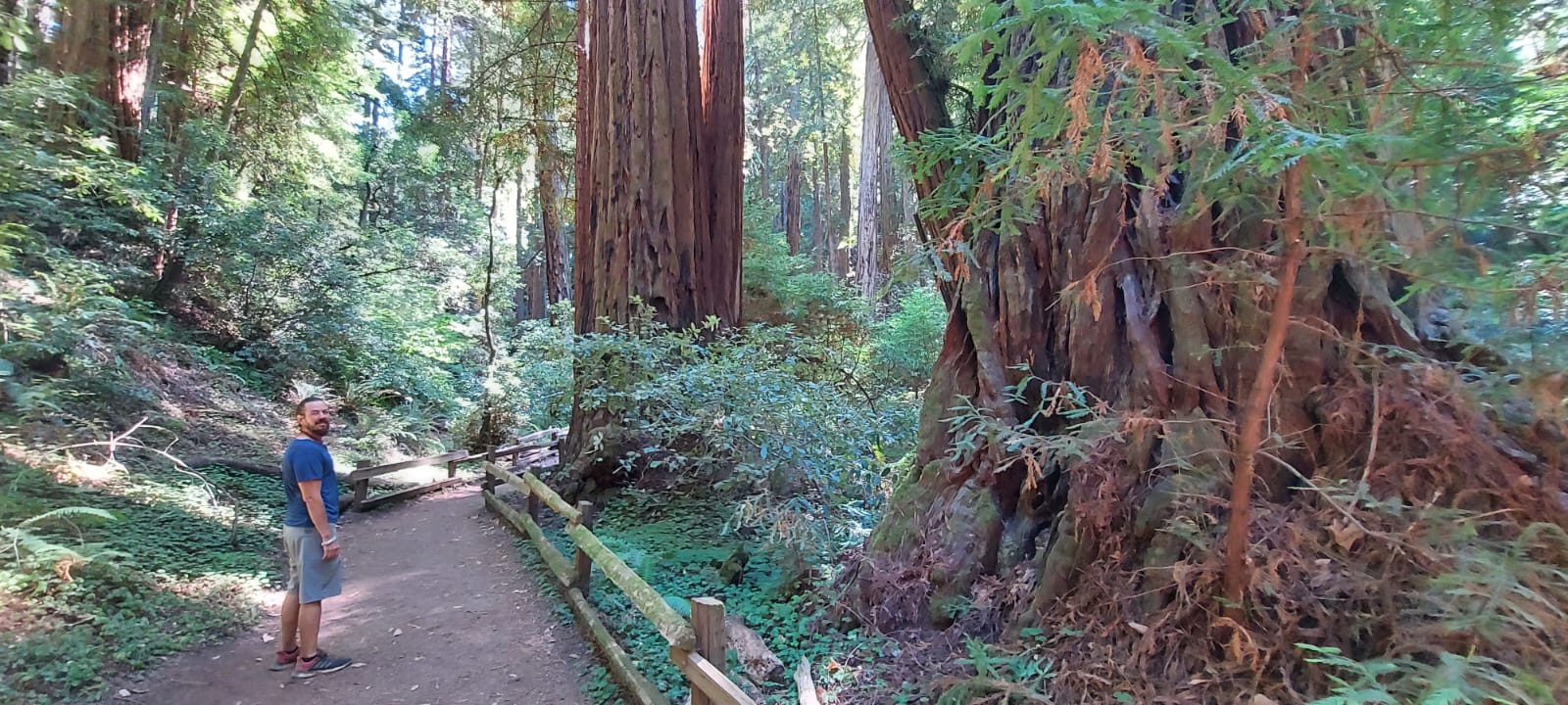 Muir Woods, Sausalito, and Exclusive Alcatraz Night Tour