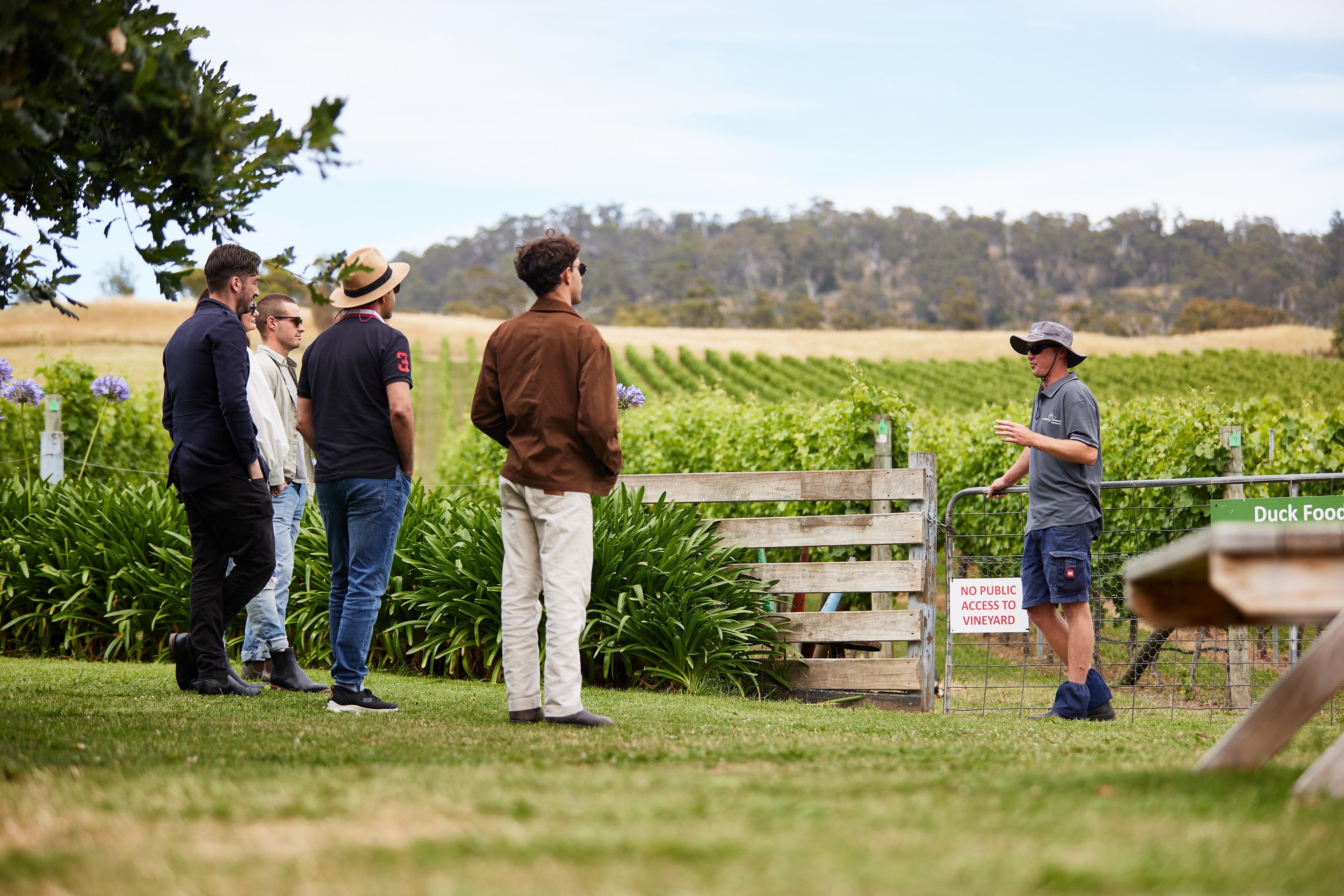 Coal River Valley Wine Tour