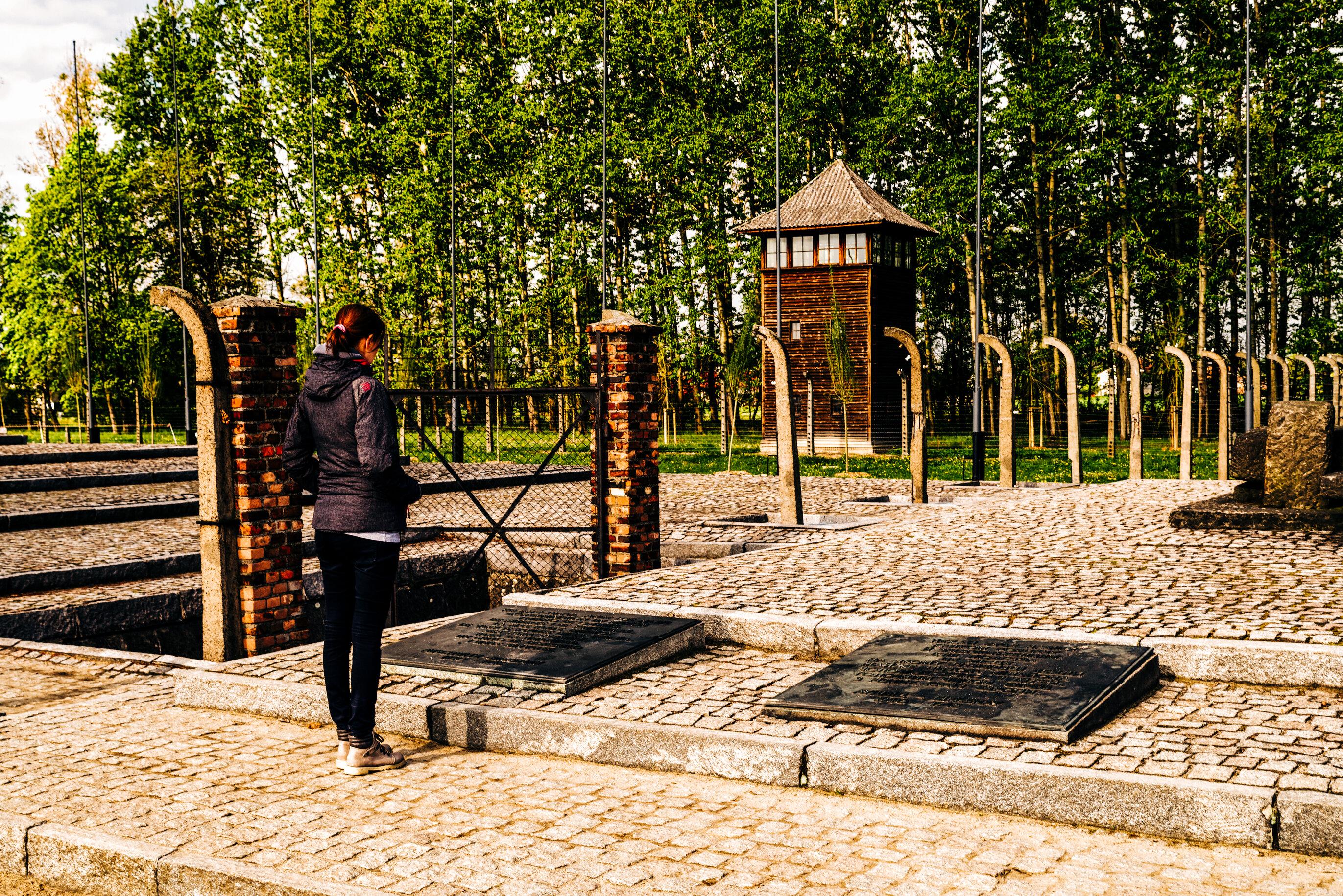 Kraków: Auschwitz-Birkenau and Wieliczka Salt Mine Day Trip