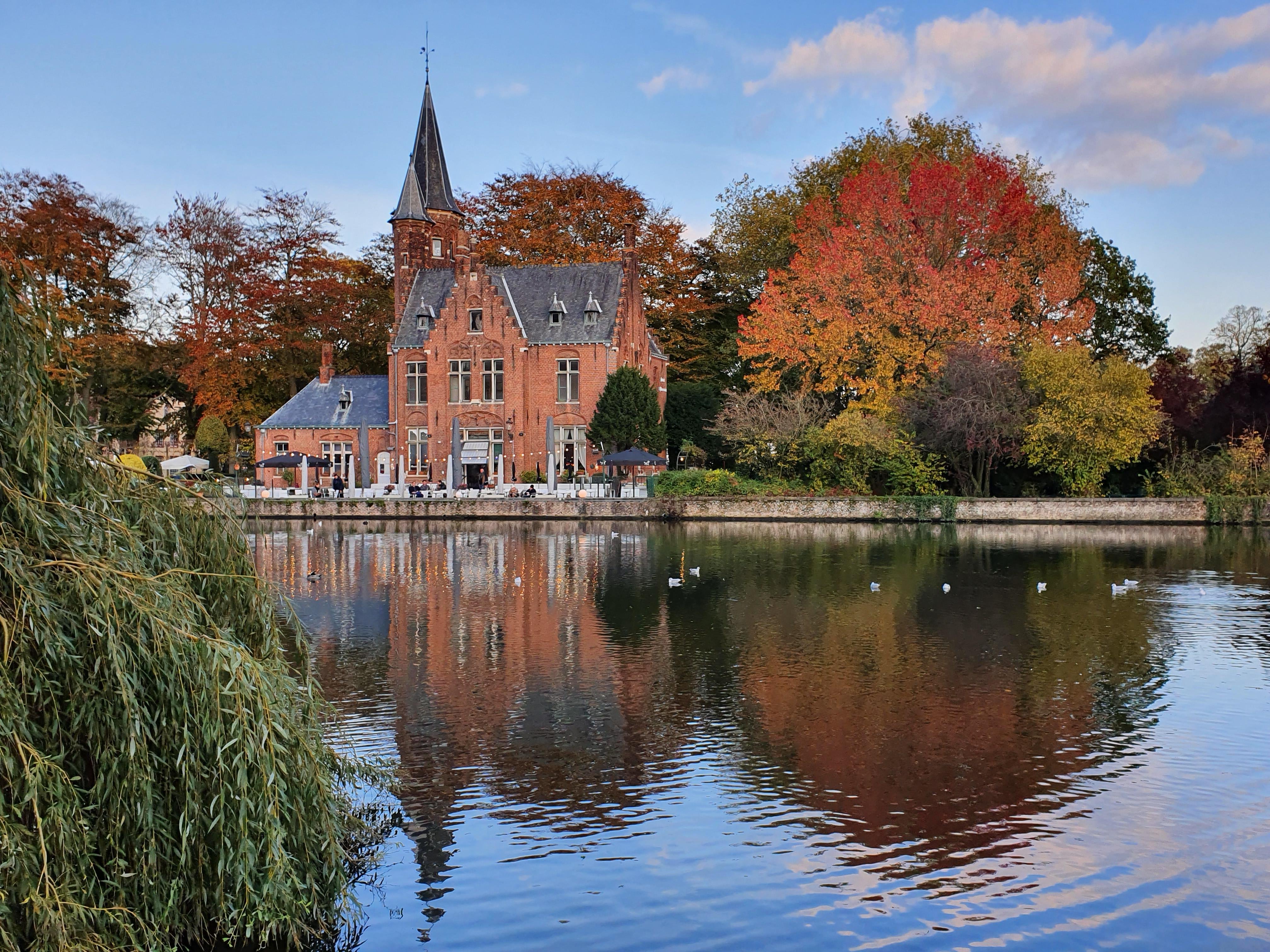 Bruges canal boat tour — medieval canals, low bridges, the Belfry and the Beguinage in the Venice of the North — image 14