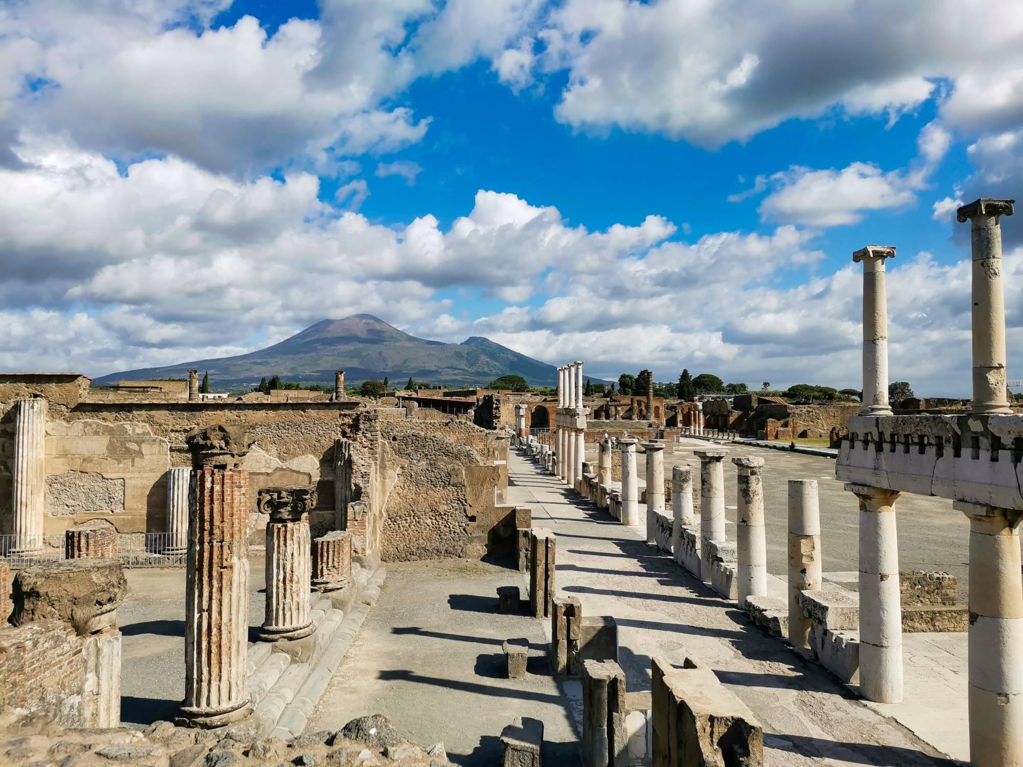 Pompeii Discovery: Ancient Ruins, Wine Tasting, and Lunch