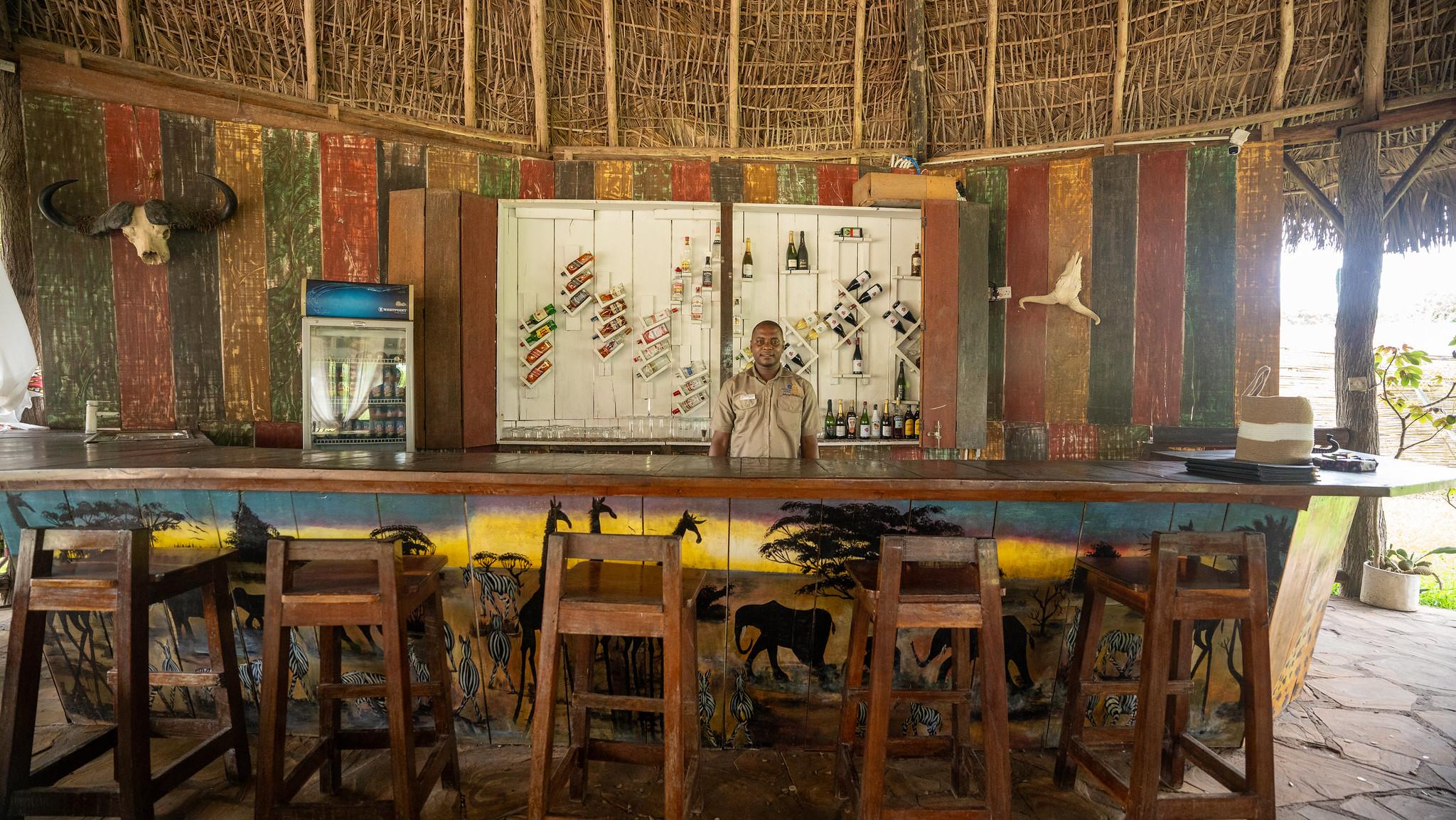 Zanzibar to Selous: 2-Day Safari with Flights & Bush Lunch