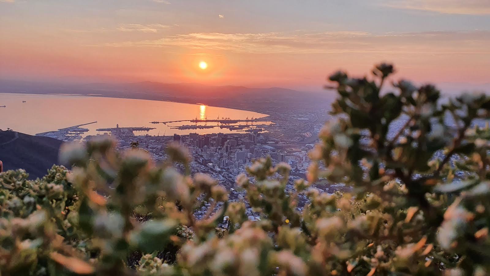Cape Town: Lion's Head or Table Mountain Guided Hike