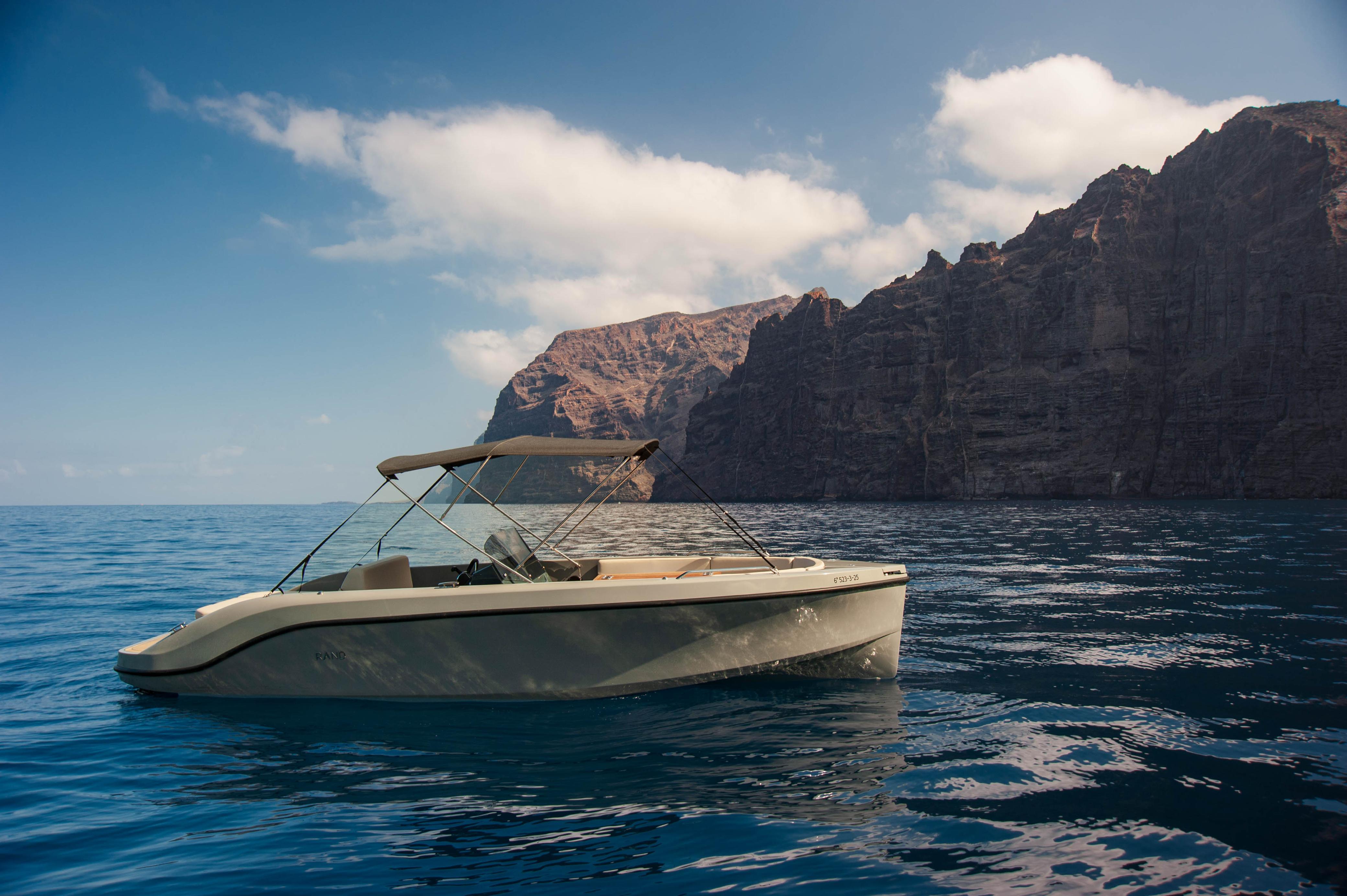 Premium Los Gigantes Cliffs Cruise