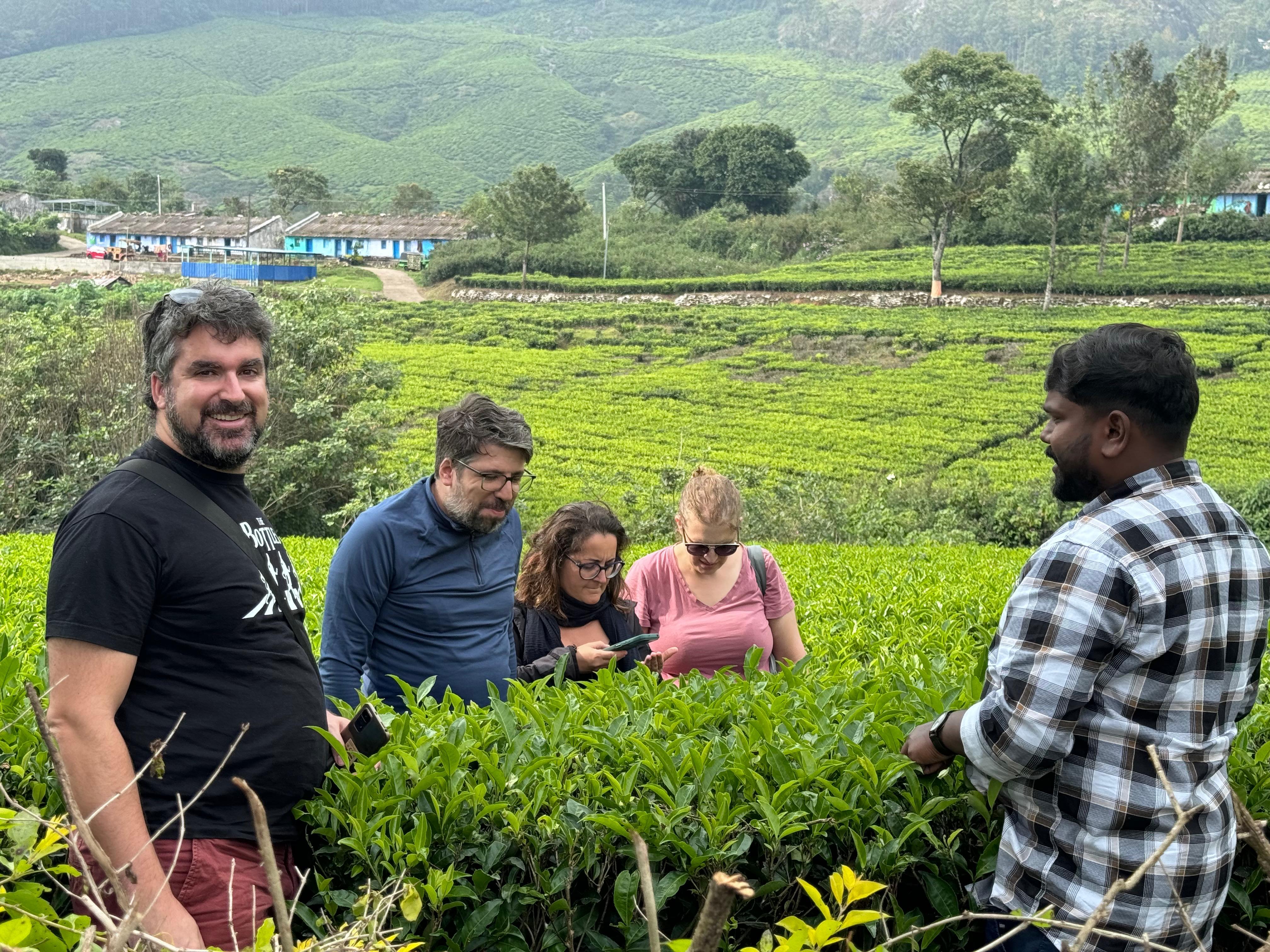Munnar: Kolukkumalai High-Altitude Tea Estate Jeep Adventure