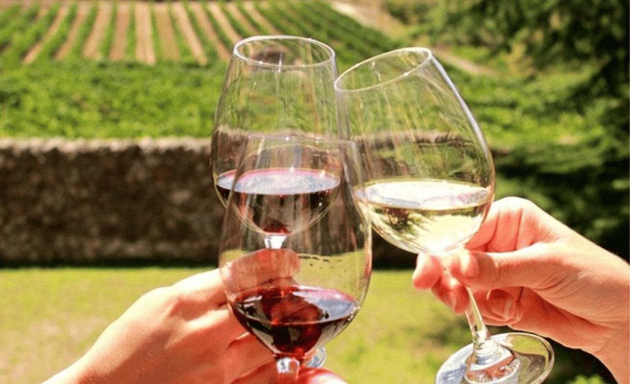 Stellenbosch Half-Day Wine Tour from Cape Town