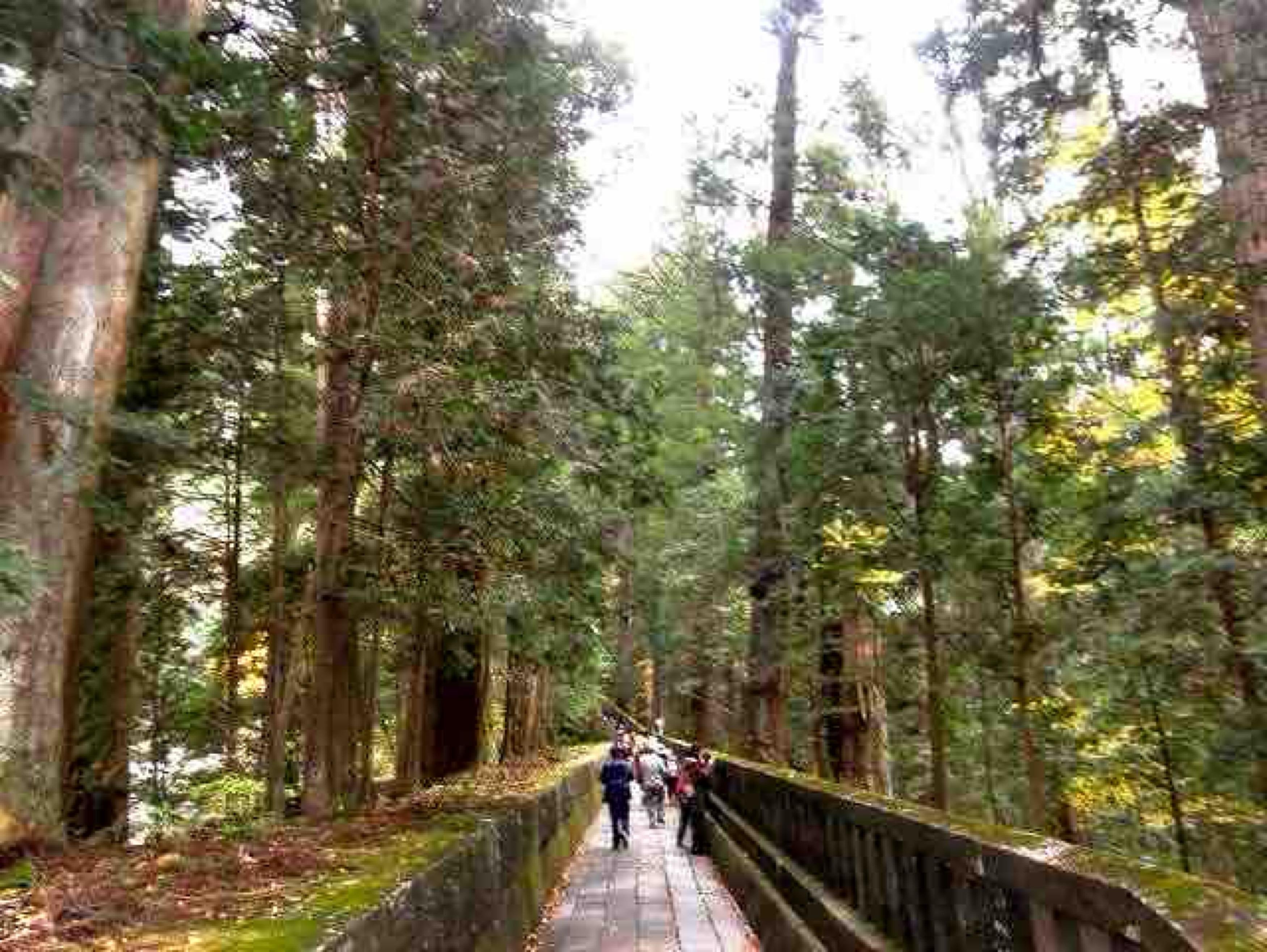 Nikko Photography Day Tour from Tokyo – Private & Customizable