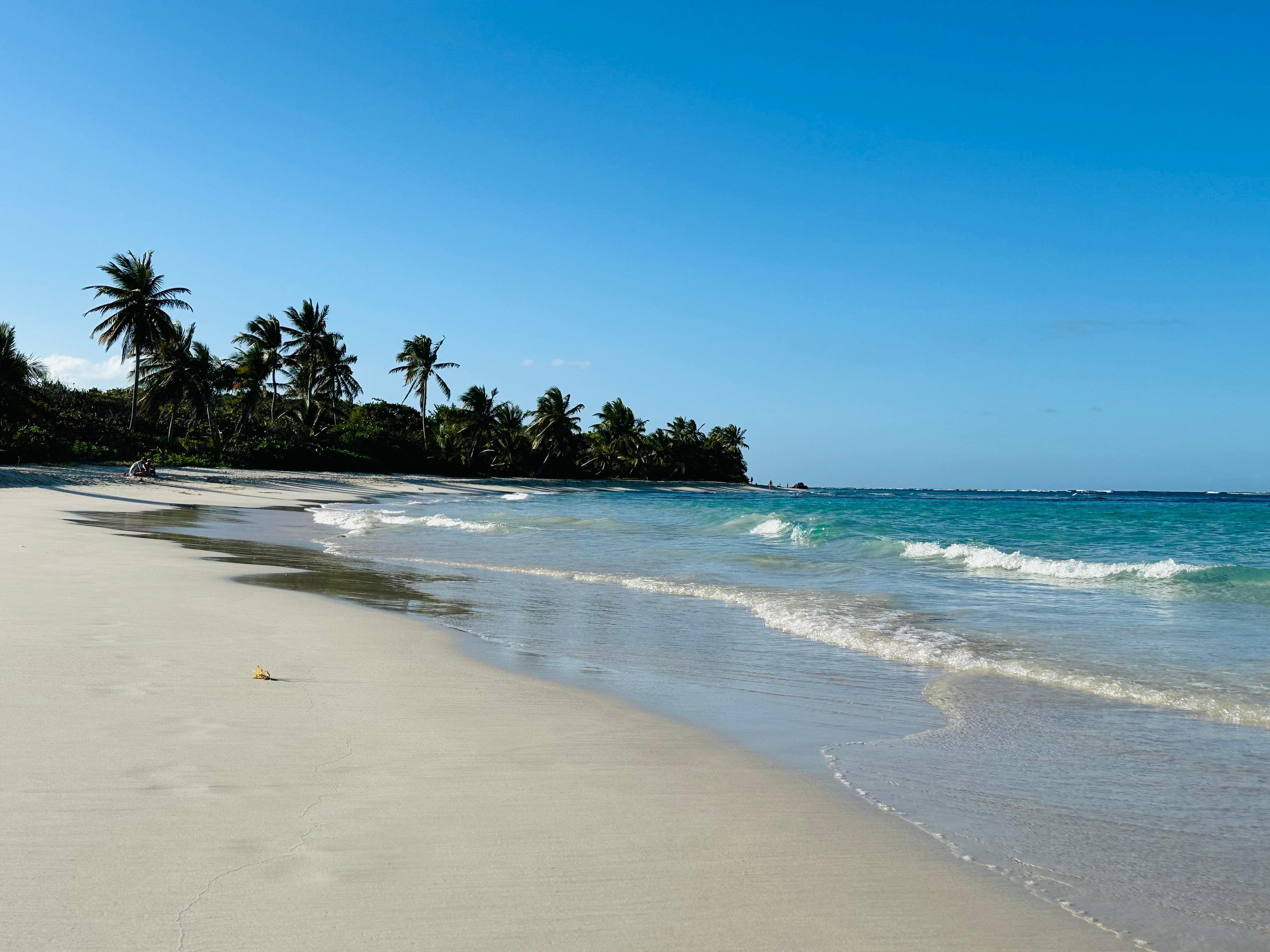 Puerto Rico Private Boat, Jet Ski & Water Sports Adventure
