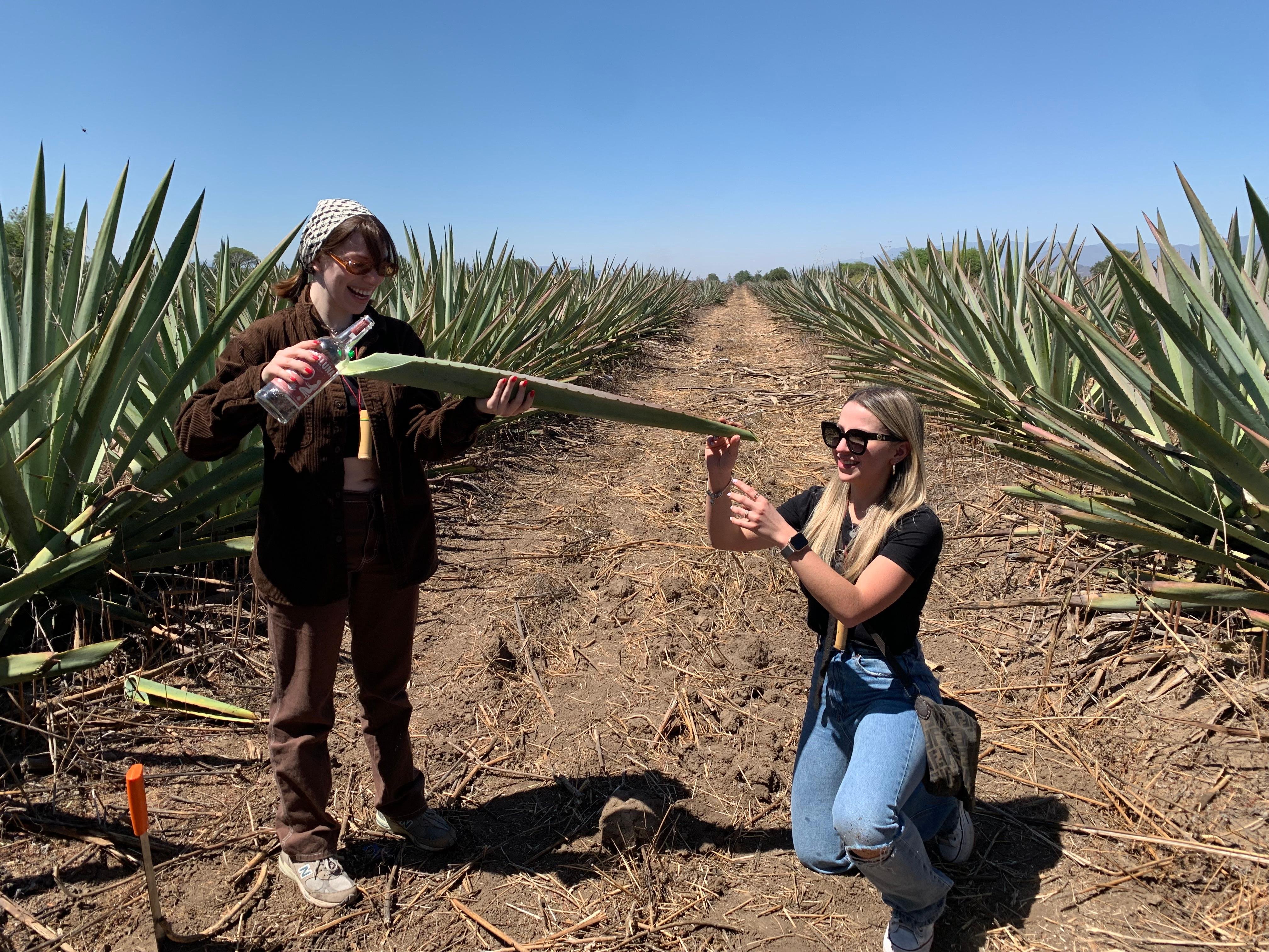 mezcal tasting in Oaxaca — photo 3