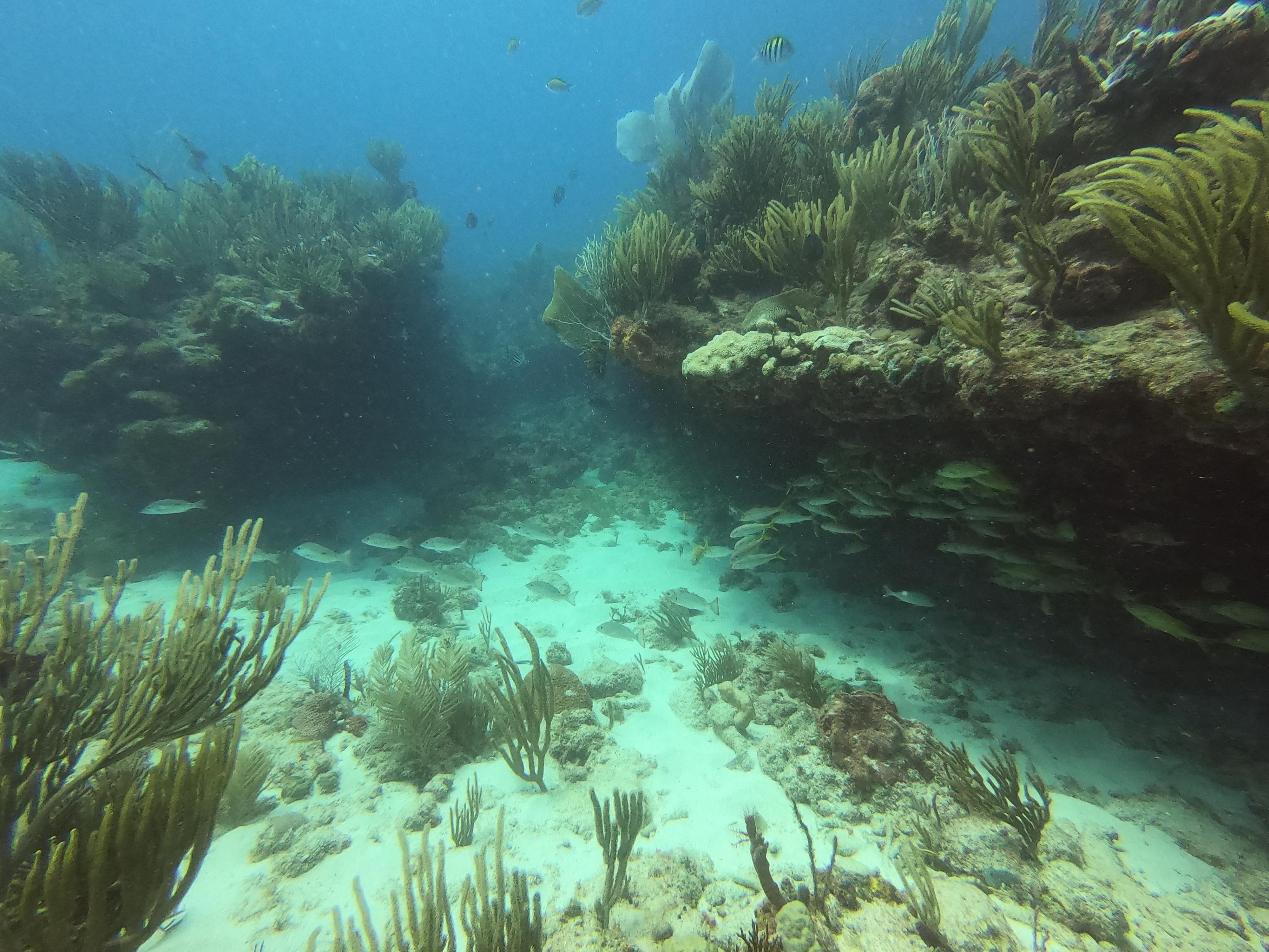 Cerro Gordo Private Snorkeling Adventure