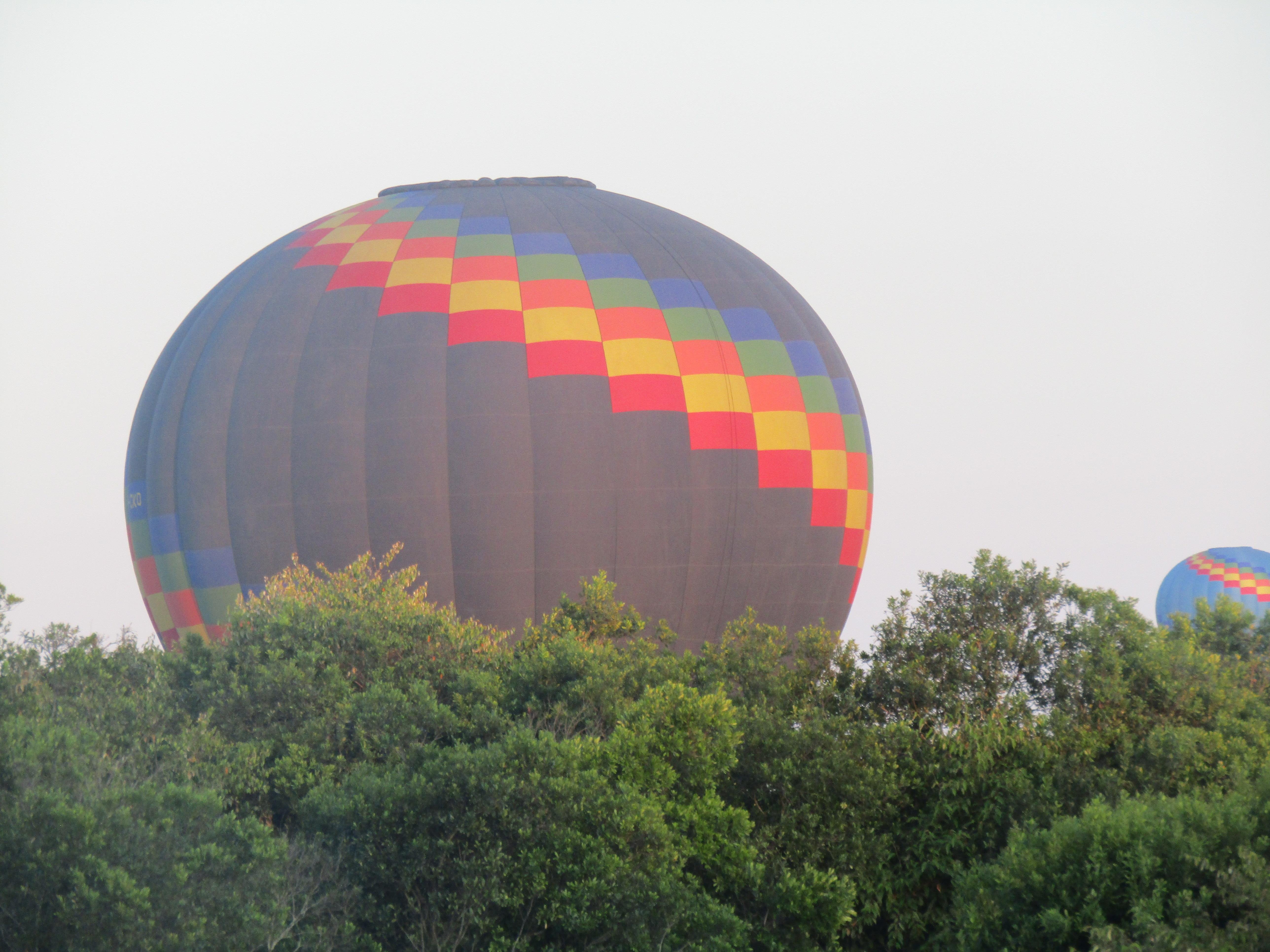 3-Day Masai Mara Safari Adventure from Nairobi