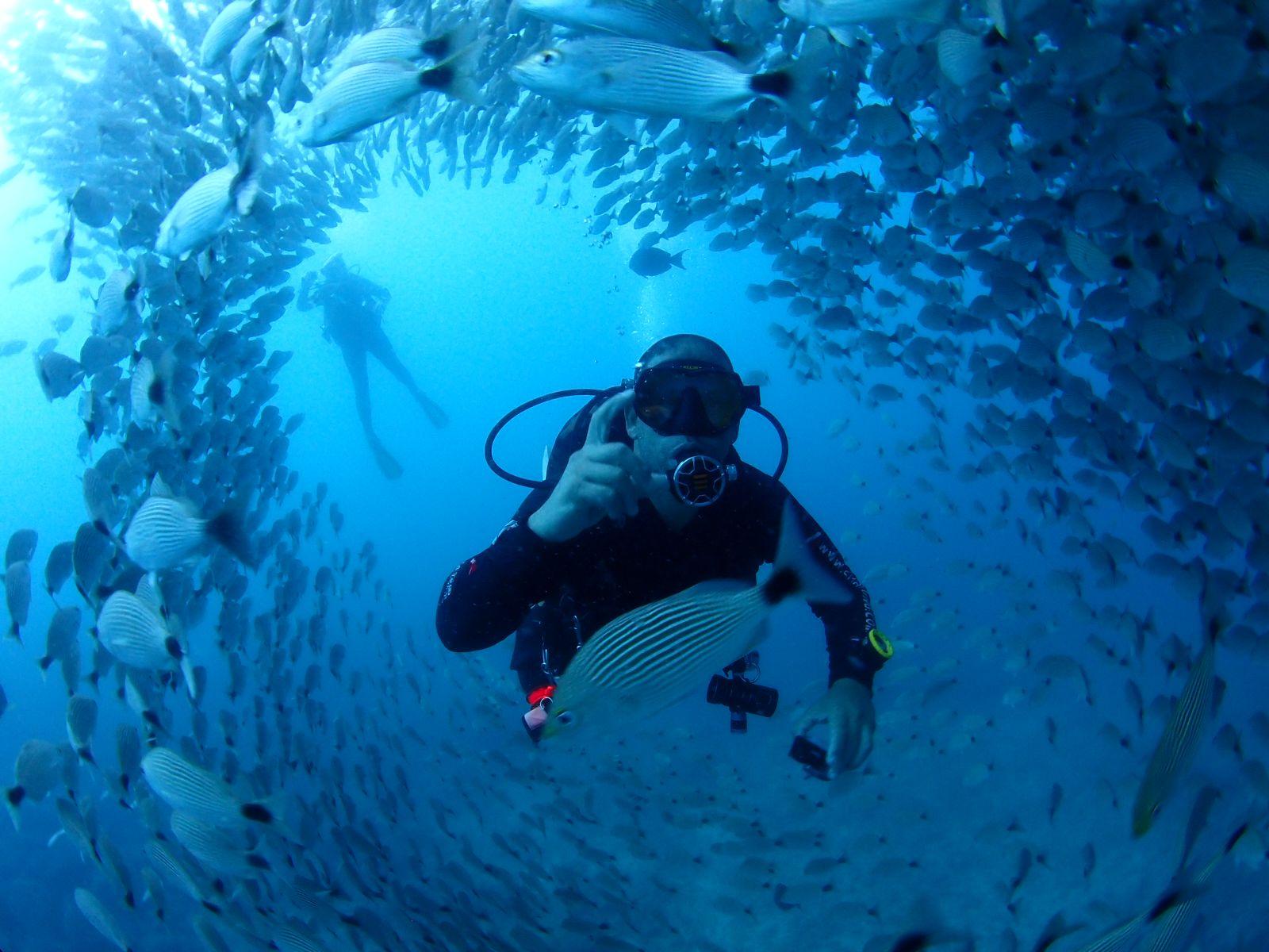 Catalinas Islands Scuba Diving Adventure