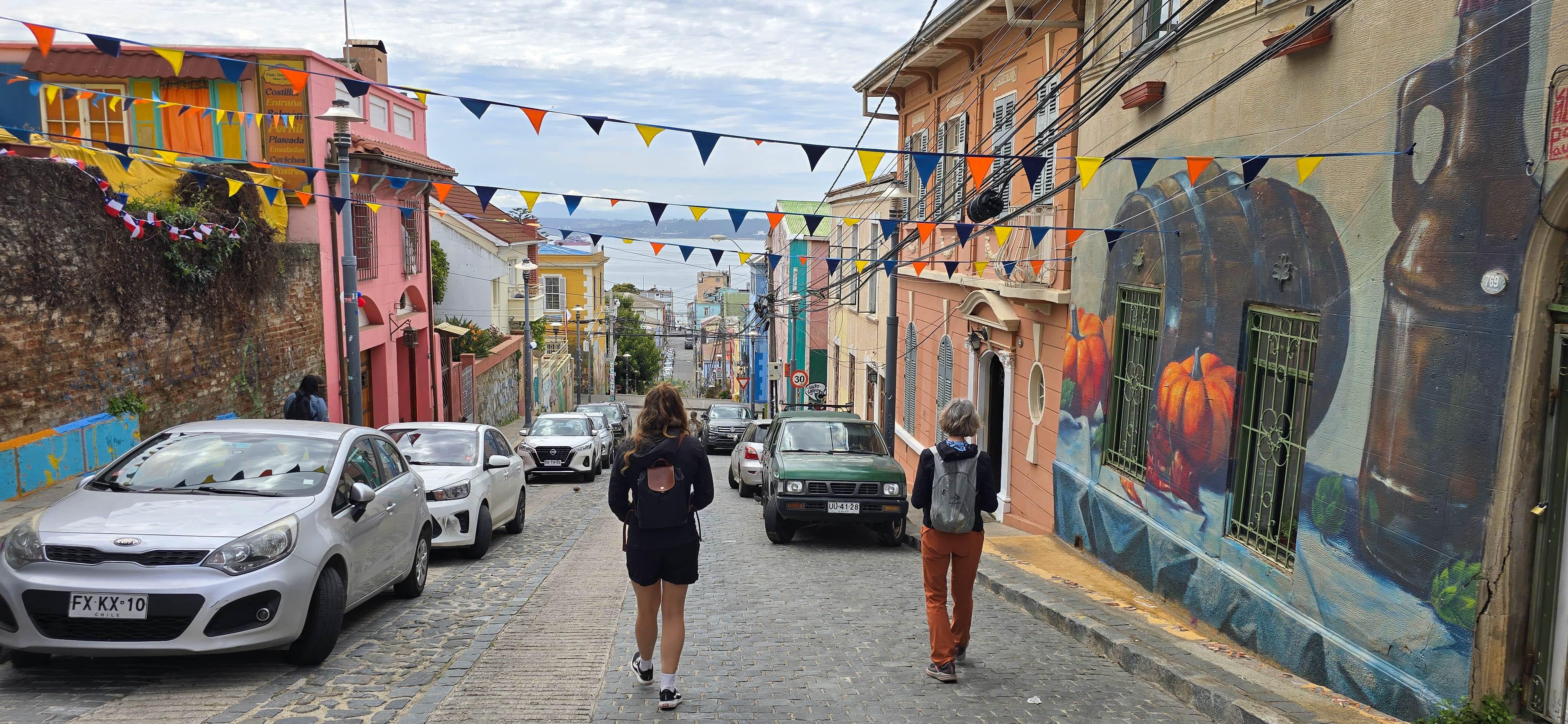 Valparaíso wine tour, the Casablanca Valley and Valparaíso's hills — image 54