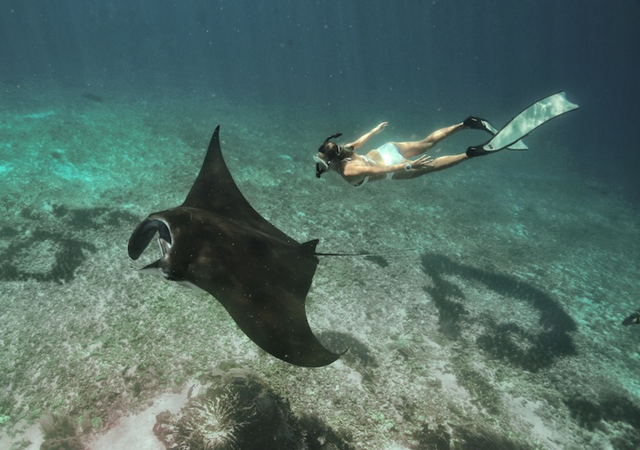 Komodo 4-Day Private Tour: Boat Stay, Padar Island & Pink Beach