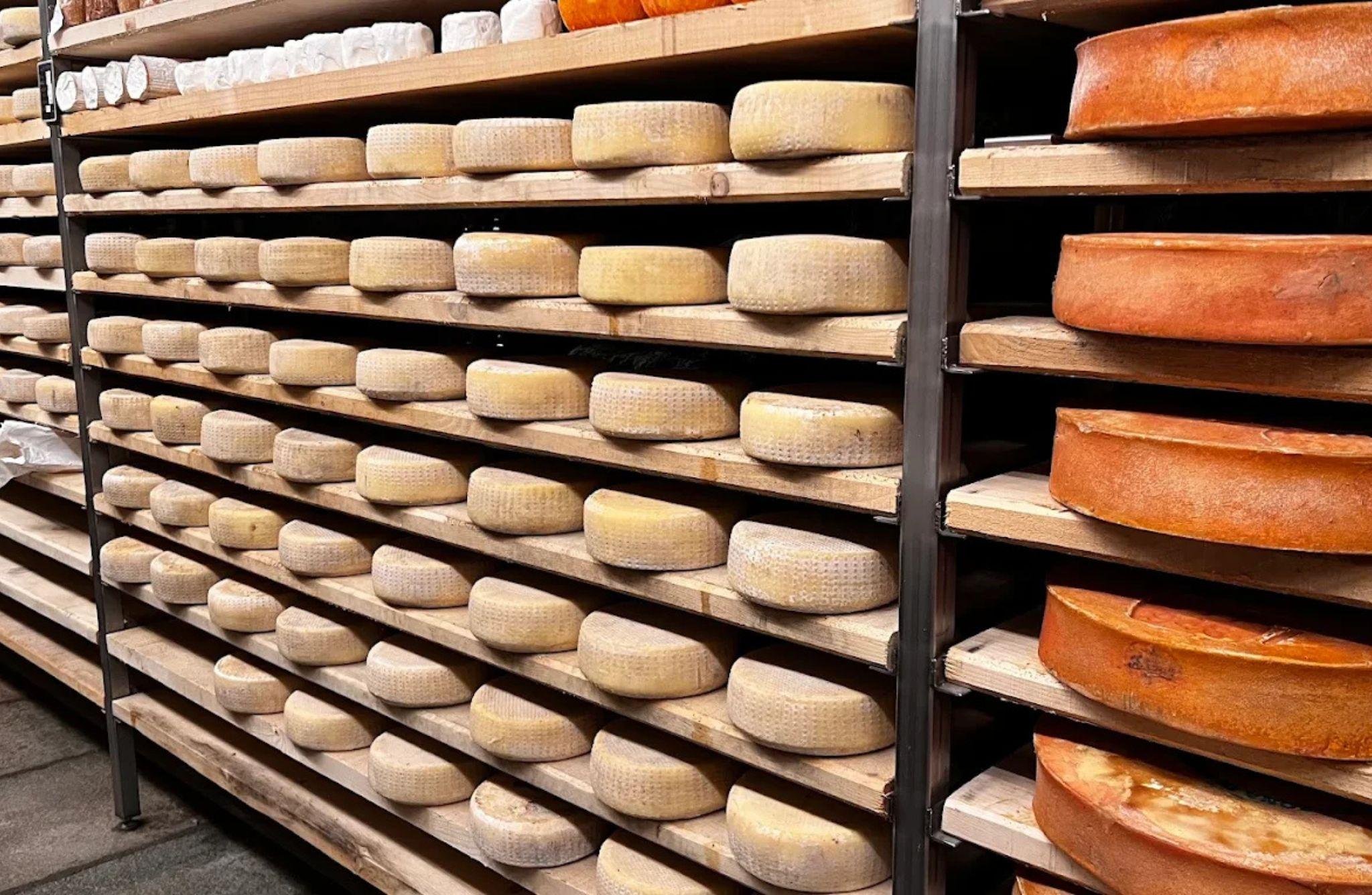 Artisan Cheese Dairy Experience with Tasting near Aosta