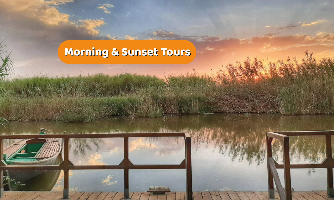 Albufera Natural Park Eco-Tour and Sunset Cruise from Valencia