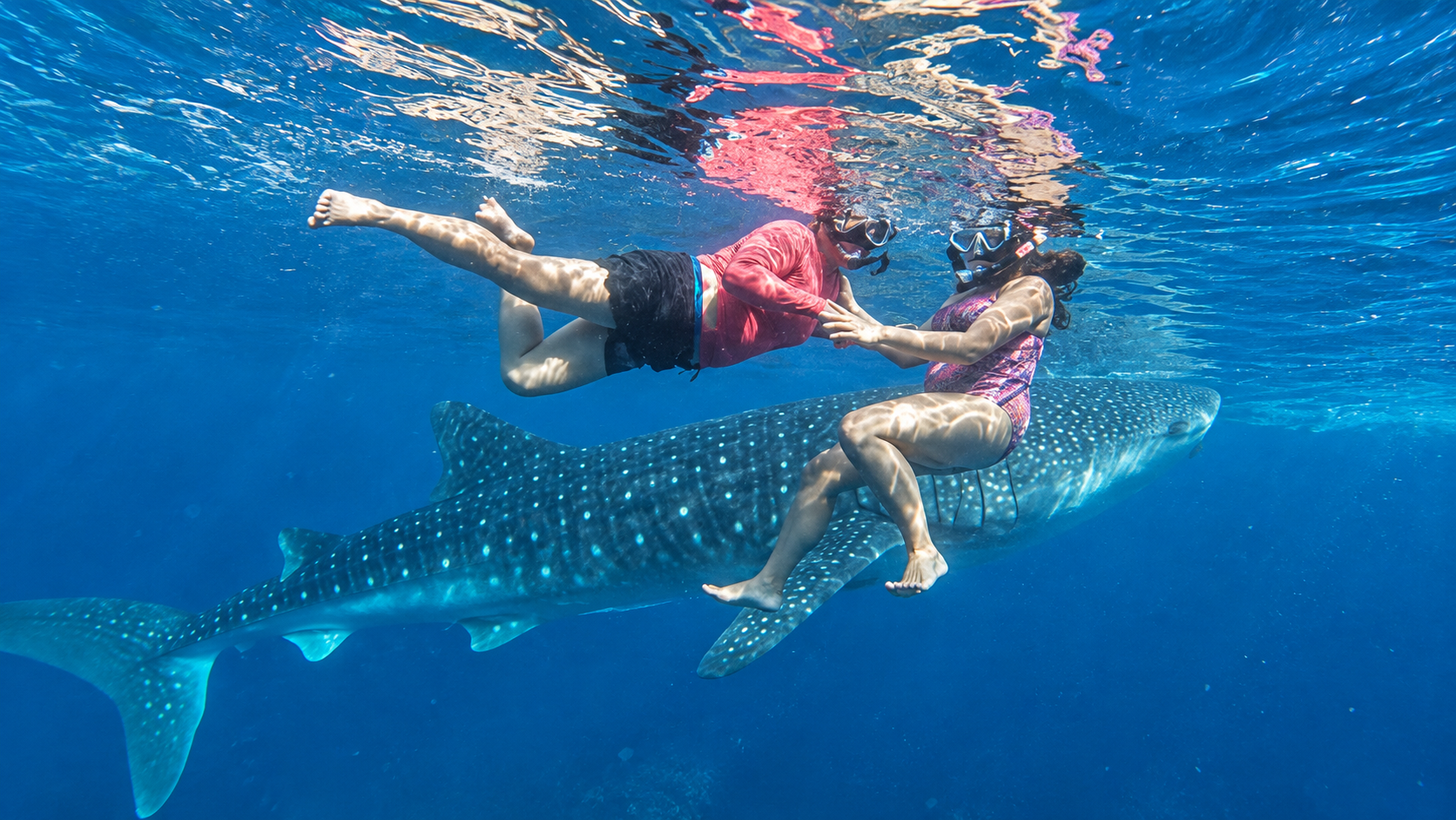 Oslob Whale Sharks & Kawasan Falls Canyoneering Adventure