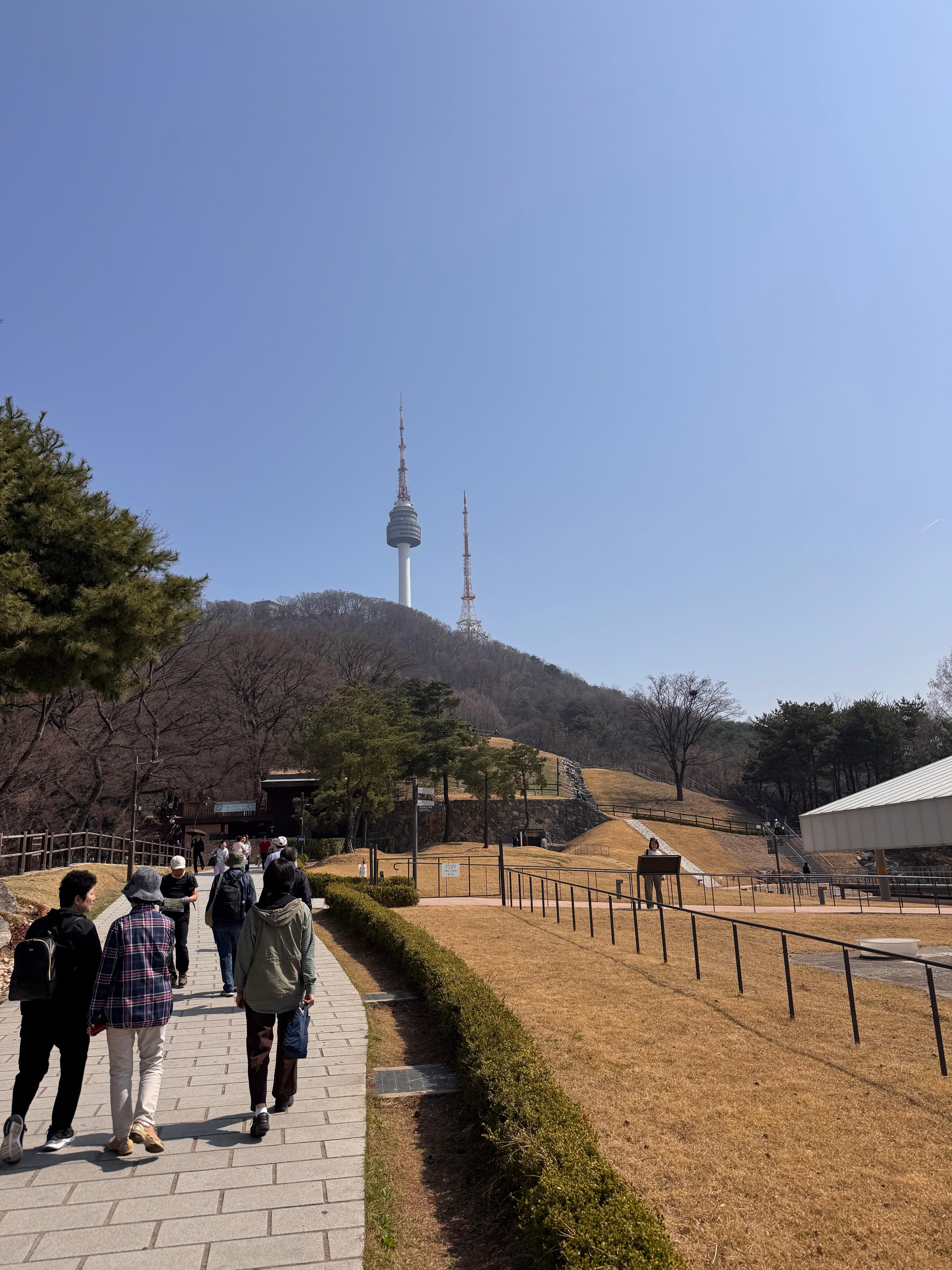 Namsan Mountain City Wall Hike & Namdaemun Noodle Lunch