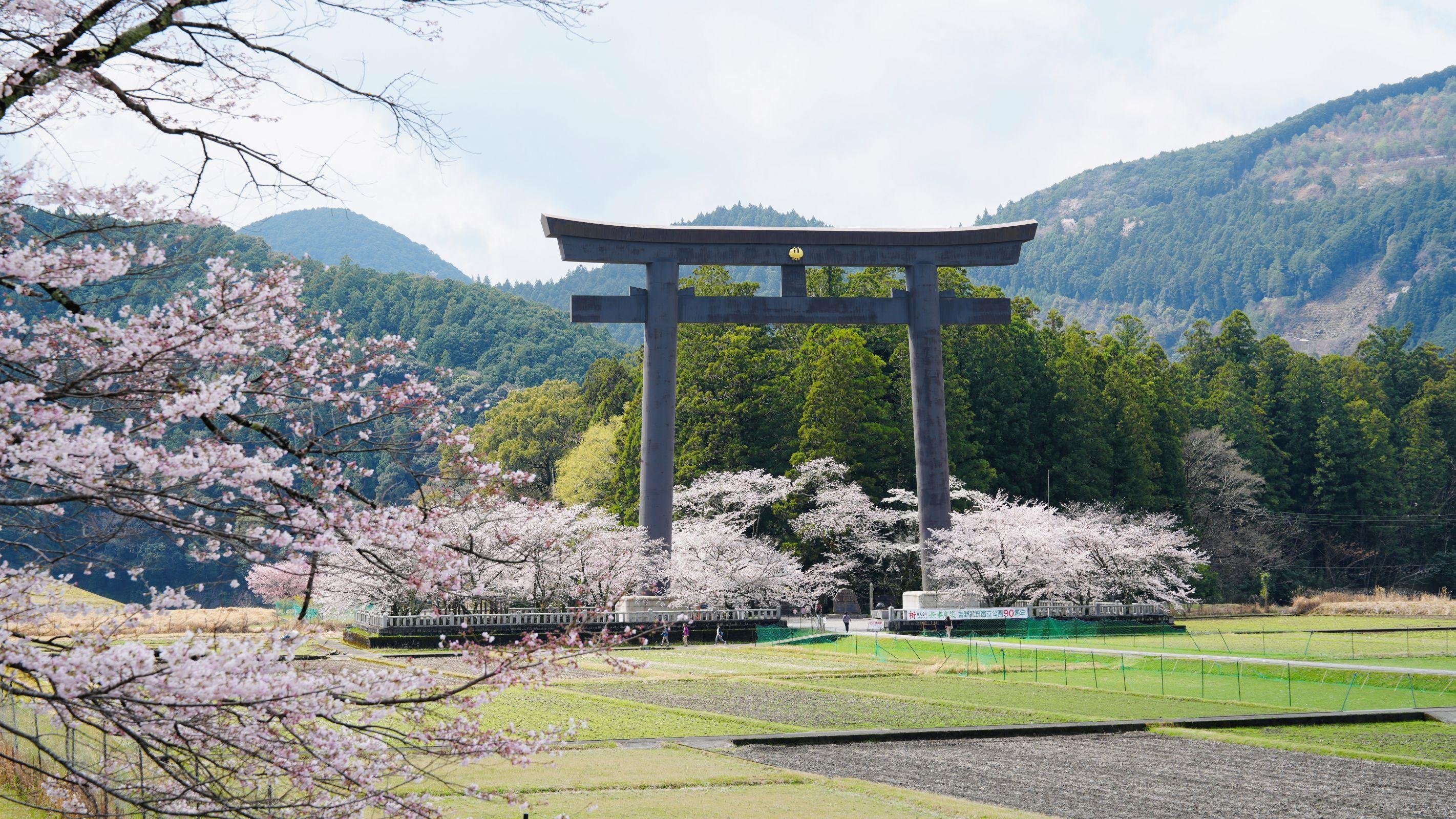Oyunohara torii and the Kumano mountains