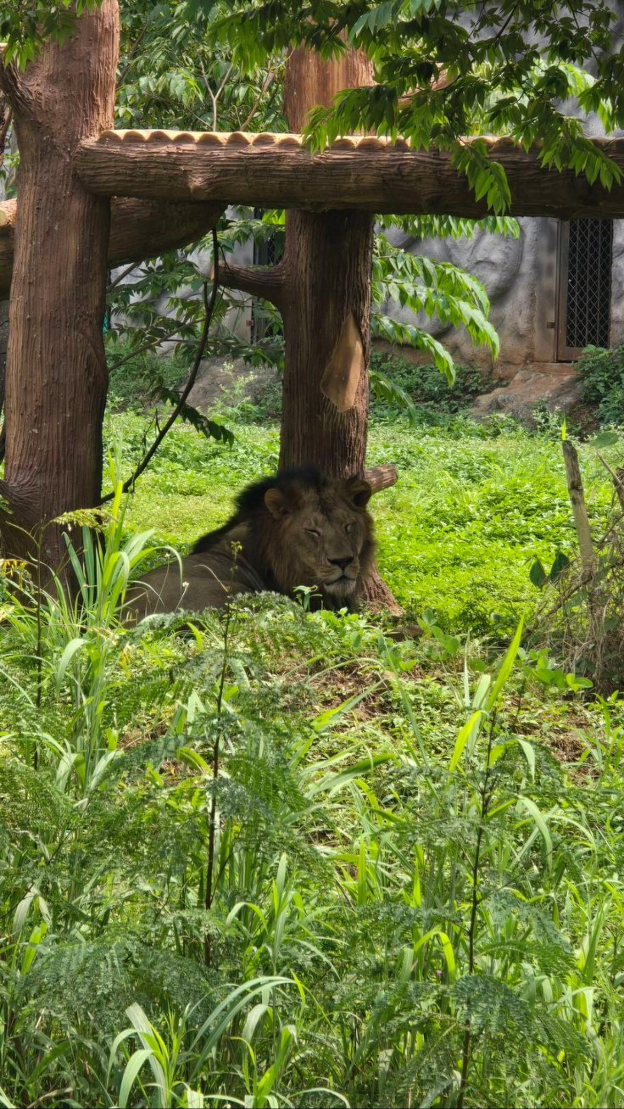 Mumbai Nature & Heritage: Kanheri Caves, Safari & Jain Temple