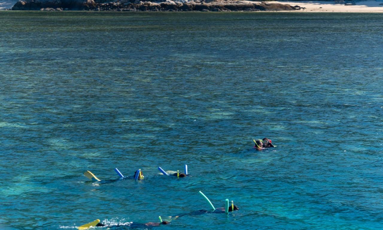 Whitsundays Full-Day: Whitehaven Beach, Hill Inlet & Reef Snorkel